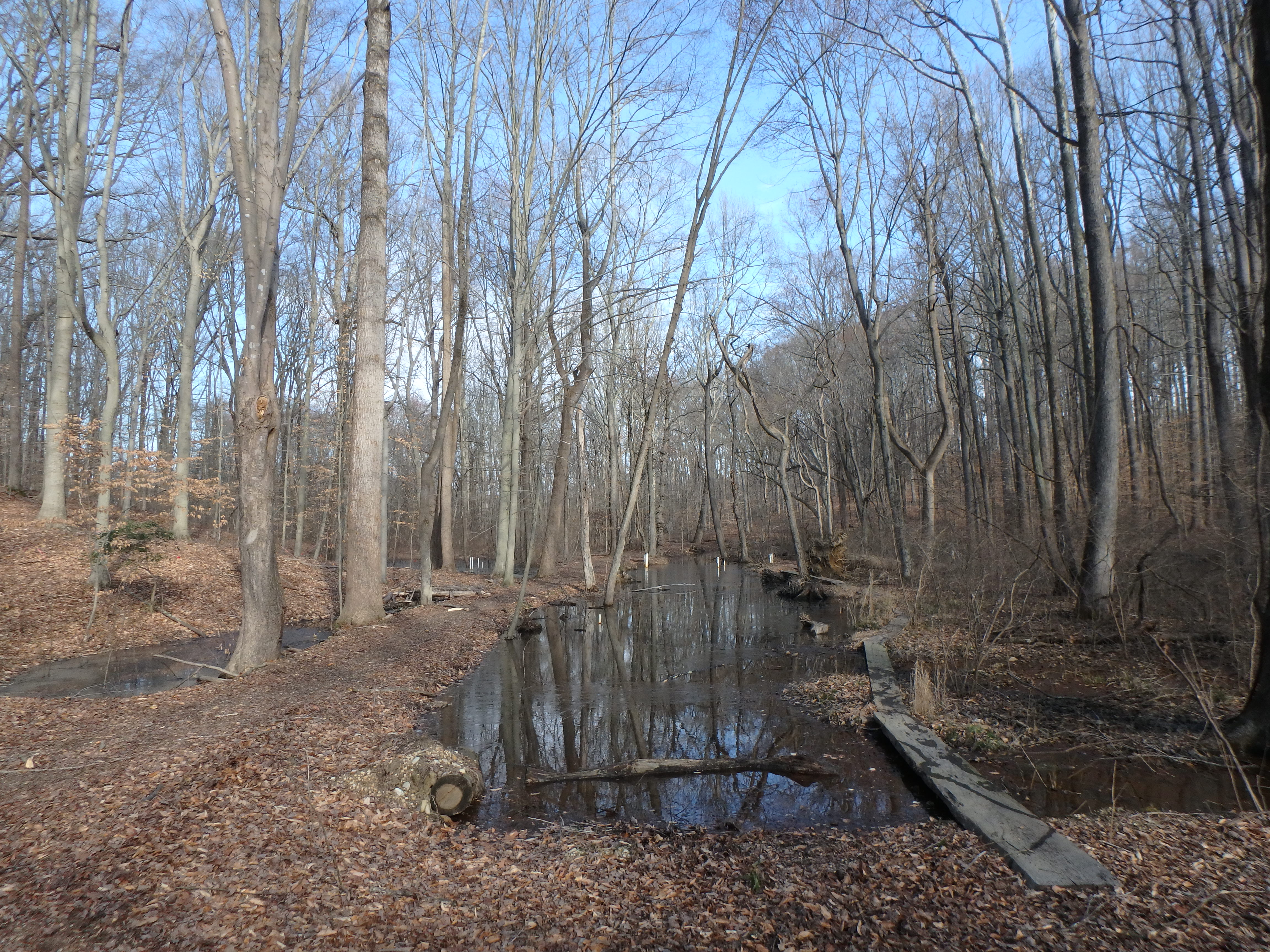 Field photo showing stream conditions at site WEST-101-X-2017-MidpointFacingUpstream