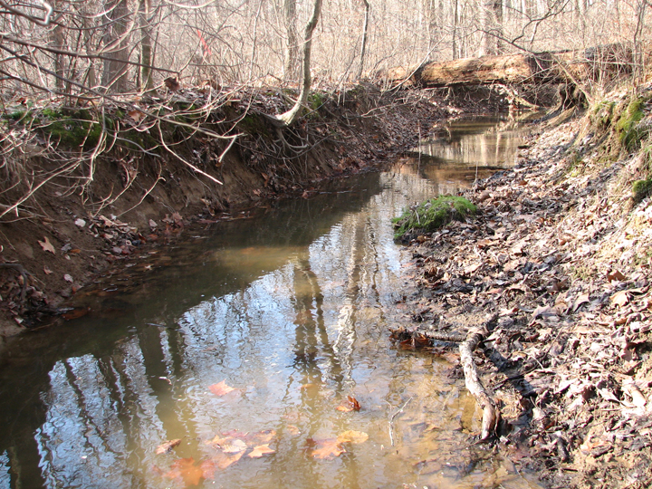 Field photo showing stream conditions at site WEST-102-B-2008-1