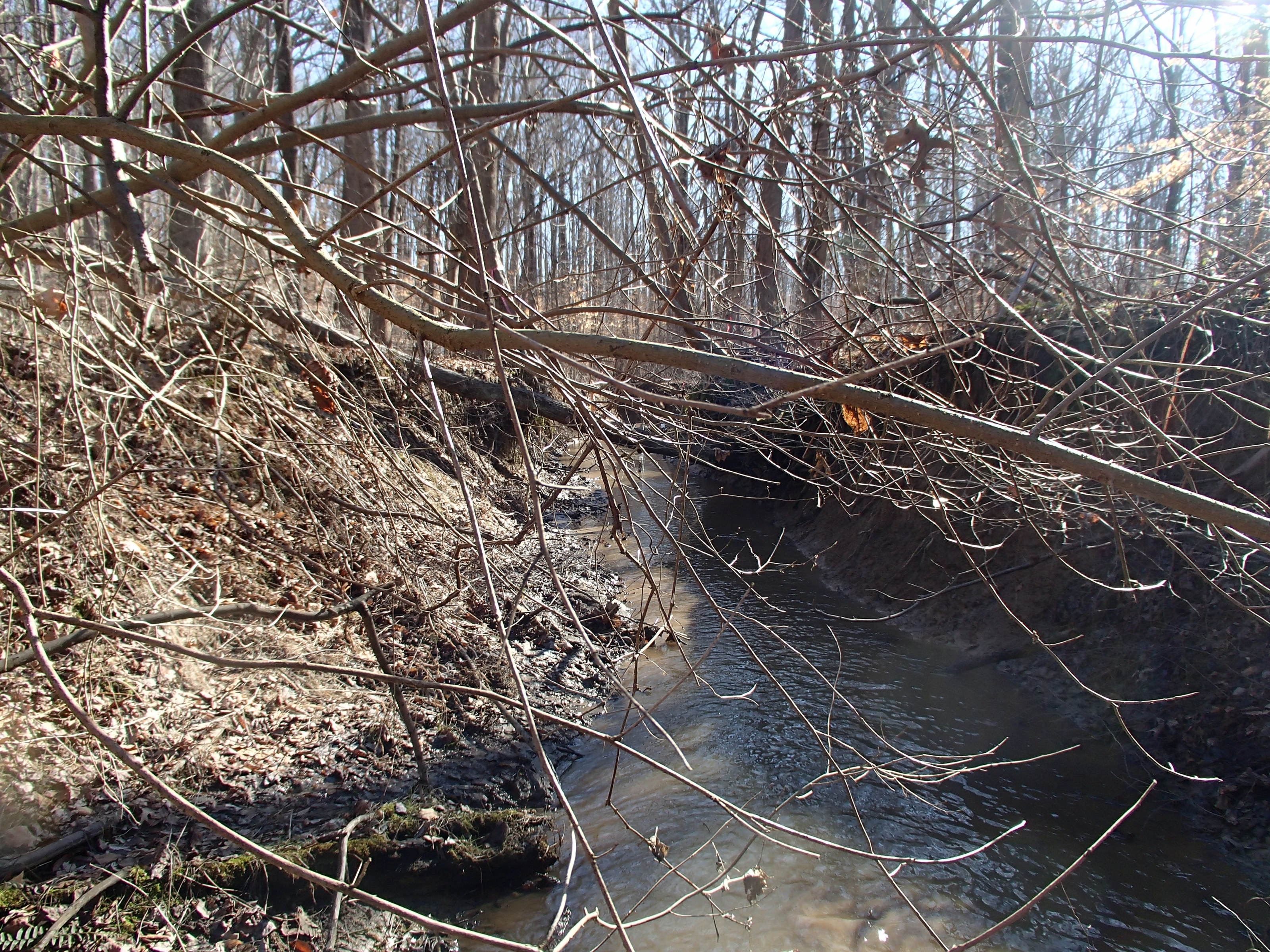 Field photo showing stream conditions at site WEST-102-X-2015_Midpoint-at-P-downstream