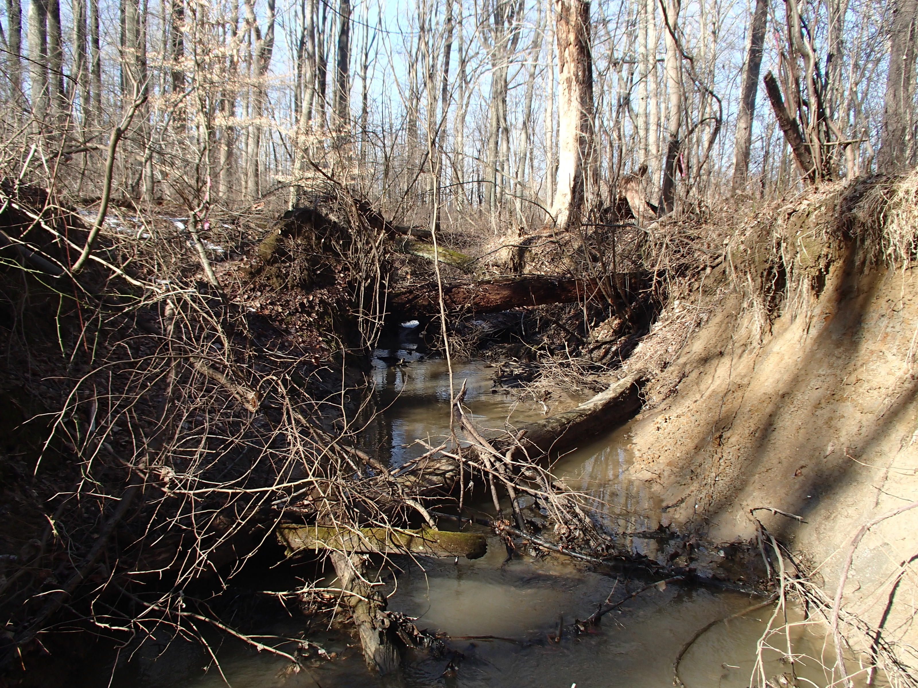 Field photo showing stream conditions at site WEST-102-X-2015_Midpoint-at-P-upstream