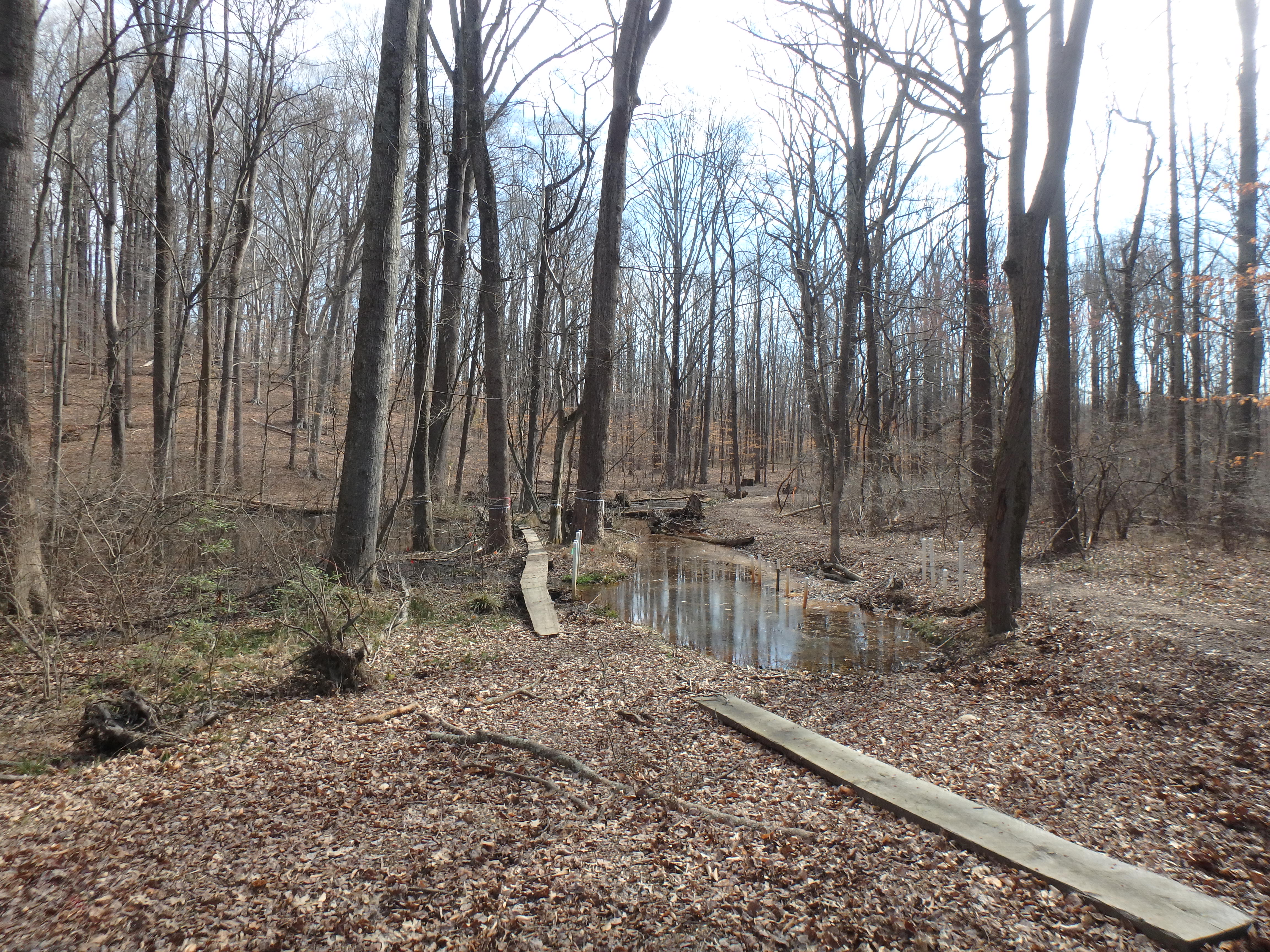 Field photo showing stream conditions at site WEST-102-X-2017-MidpointFacingDownstream