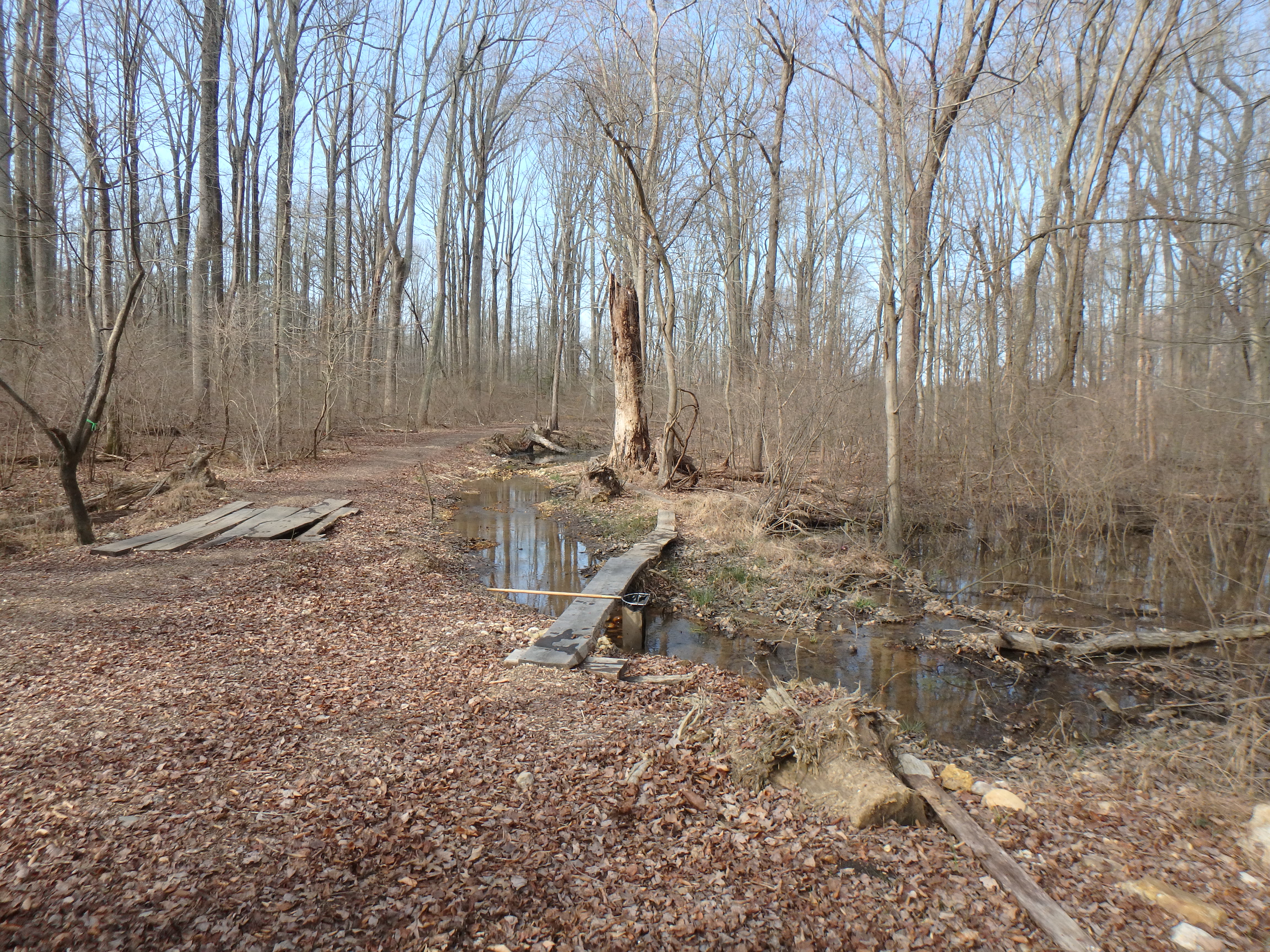 Field photo showing stream conditions at site WEST-102-X-2017-MidpointFacingUpstream