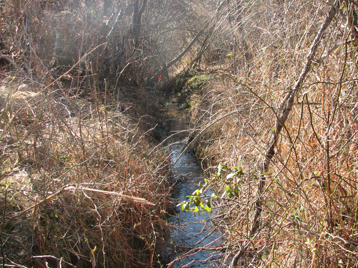 Field photo showing stream conditions at site WEST-103-B-2008-1