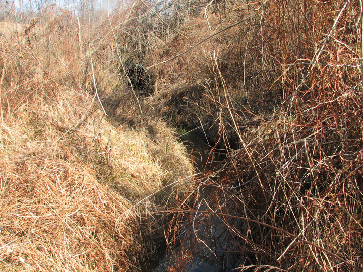 Field photo showing stream conditions at site WEST-103-B-2008-2