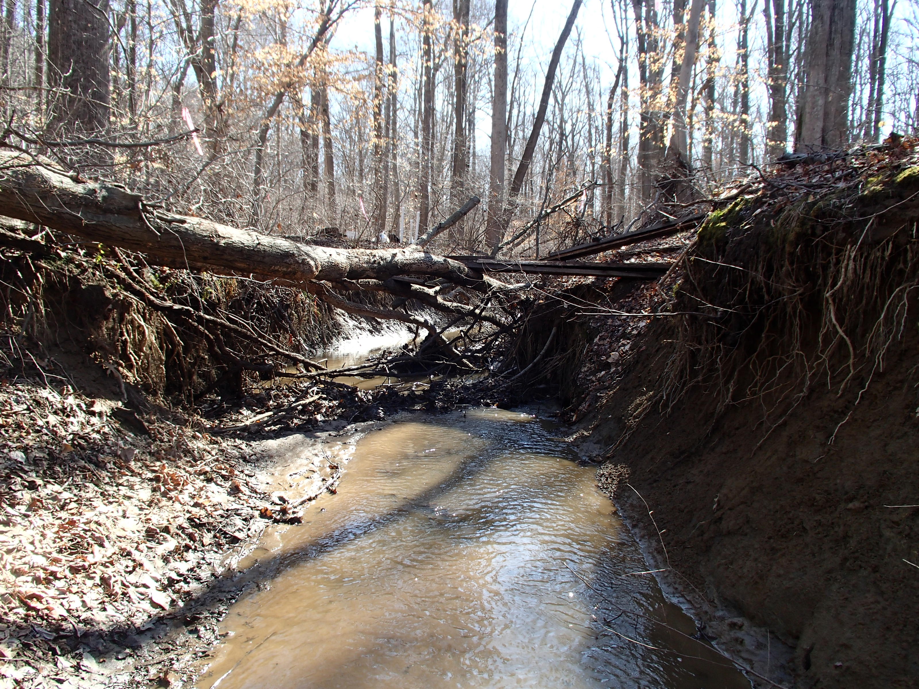 Field photo showing stream conditions at site WEST-103-X-2015_At-P-looking-downstream