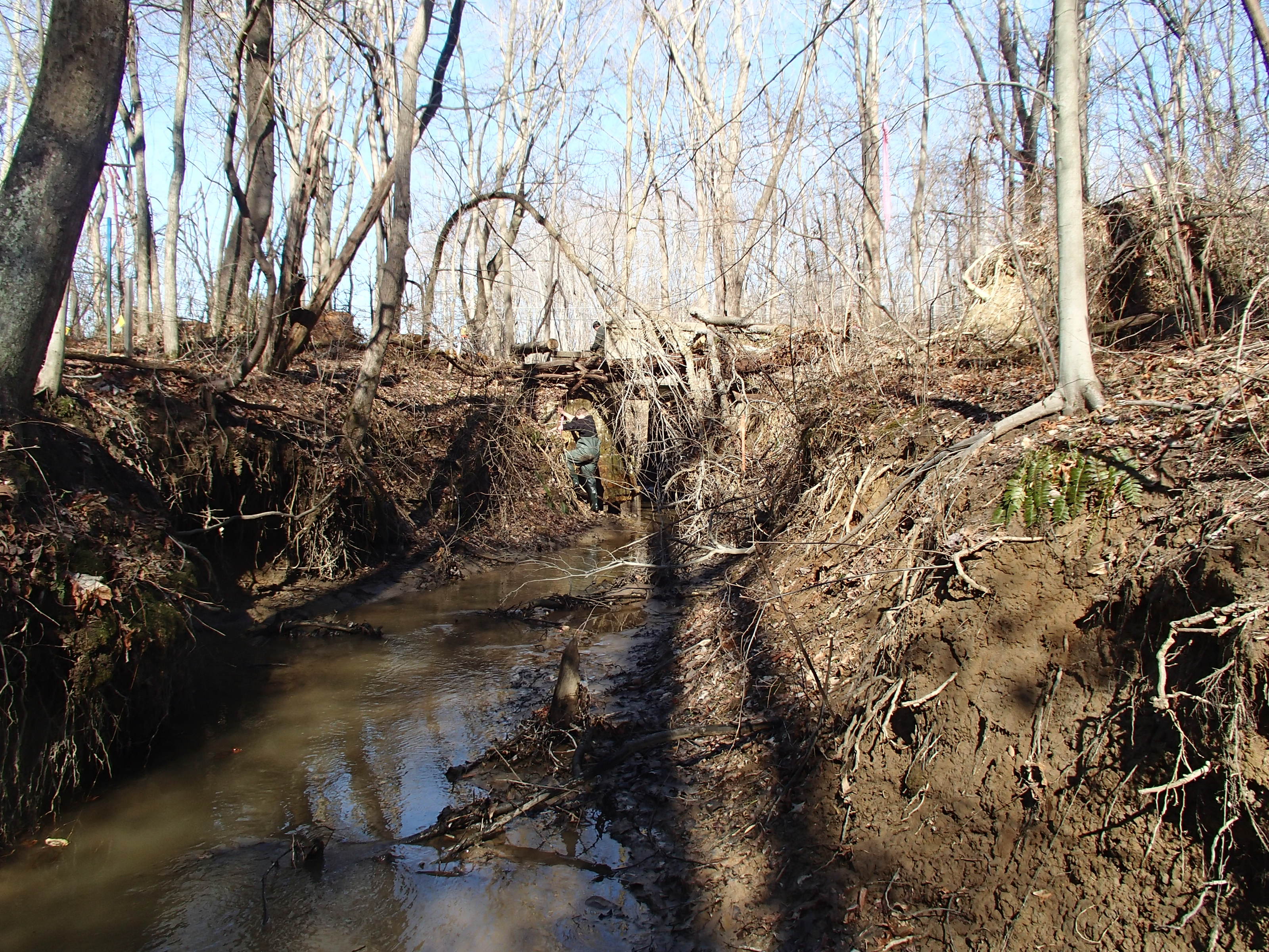 Field photo showing stream conditions at site WEST-103-X-2015_At-P-looking-upstream