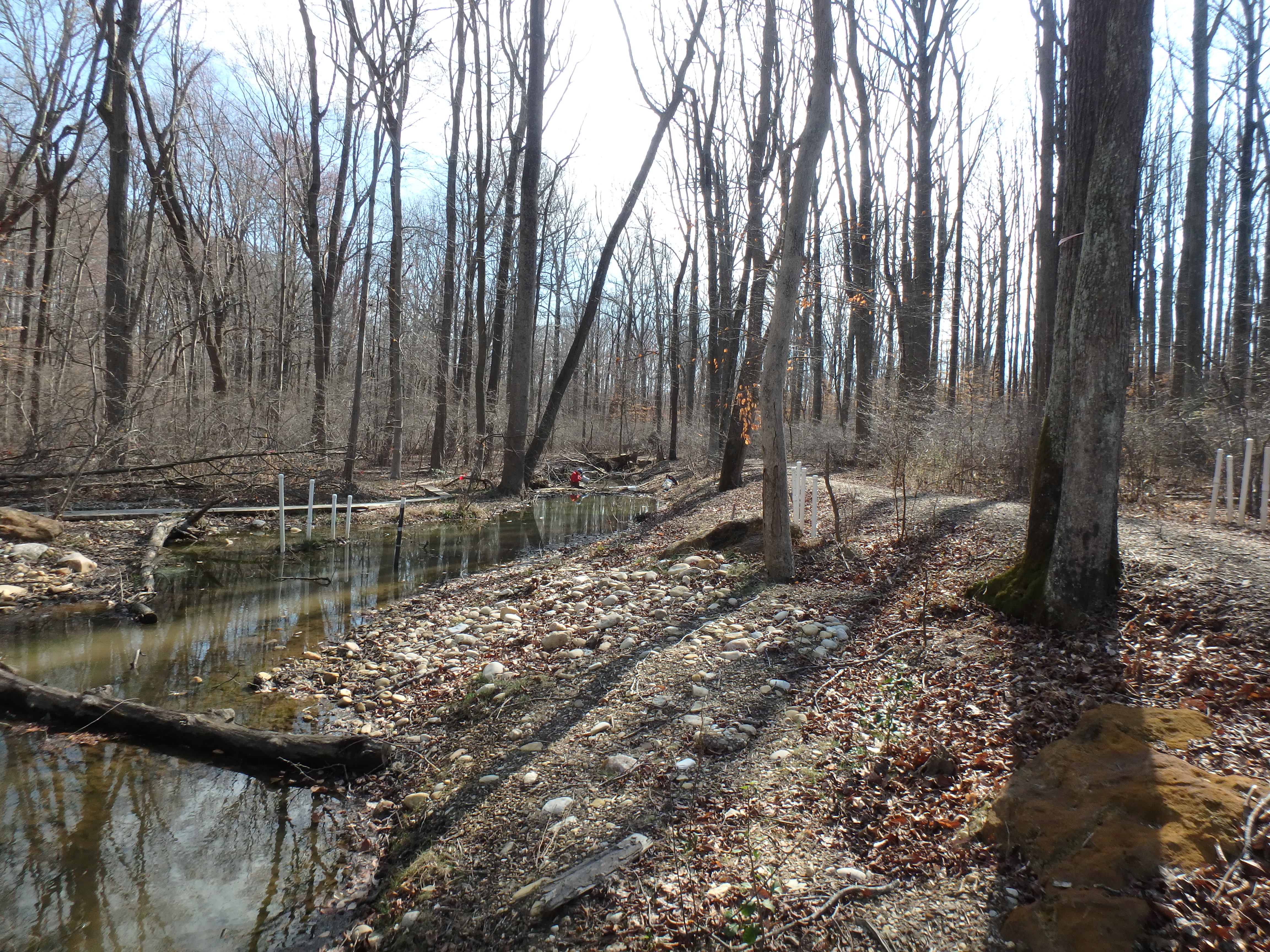 Field photo showing stream conditions at site WEST-103-X-2017-MidpointLookingDownstream