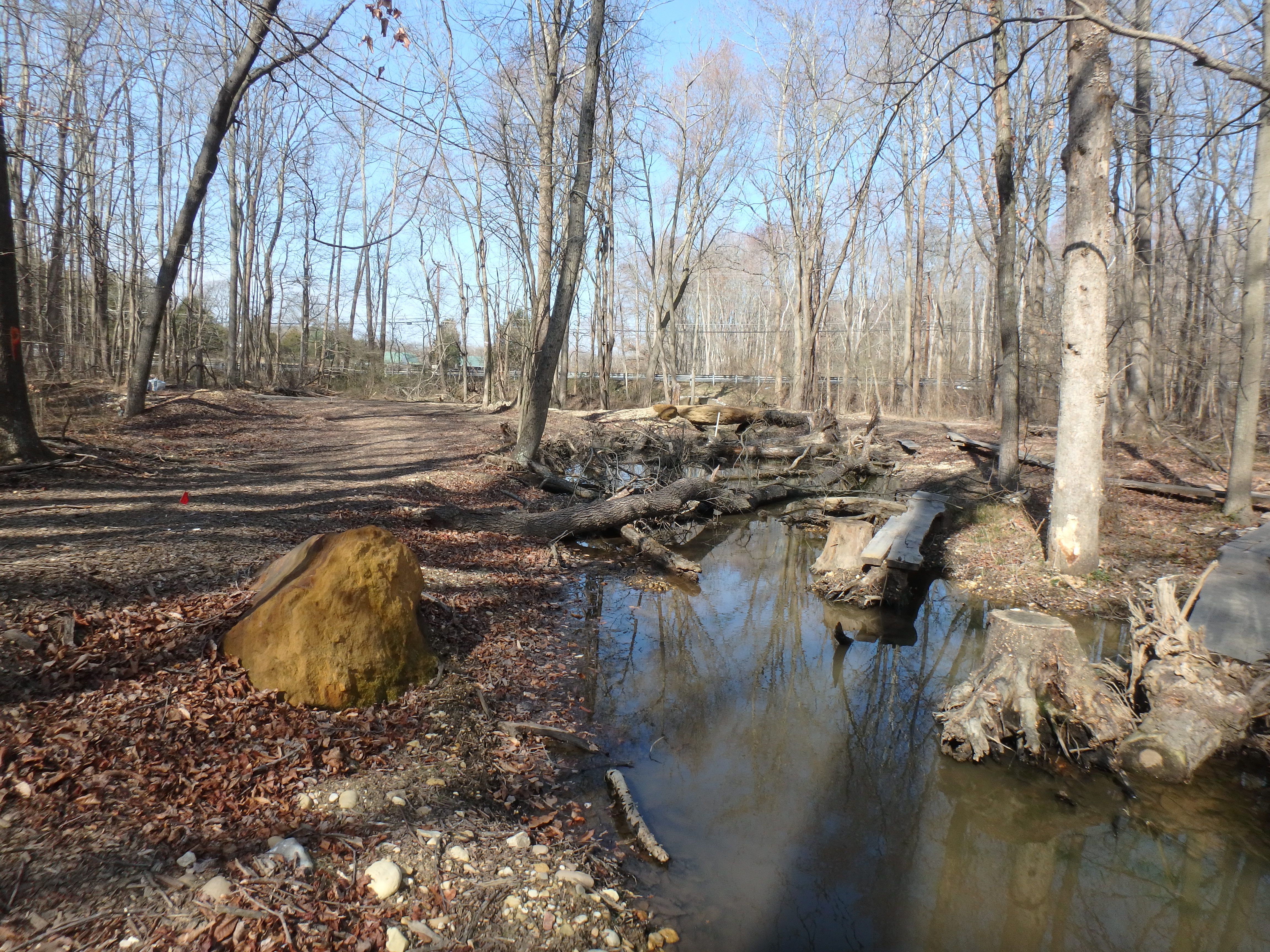 Field photo showing stream conditions at site WEST-103-X-2017-MidpointLookingUpstream