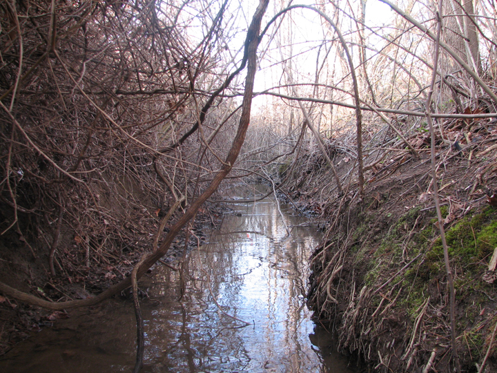 Field photo showing stream conditions at site WEST-104-B-2008-1