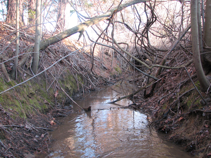Field photo showing stream conditions at site WEST-104-B-2008-2