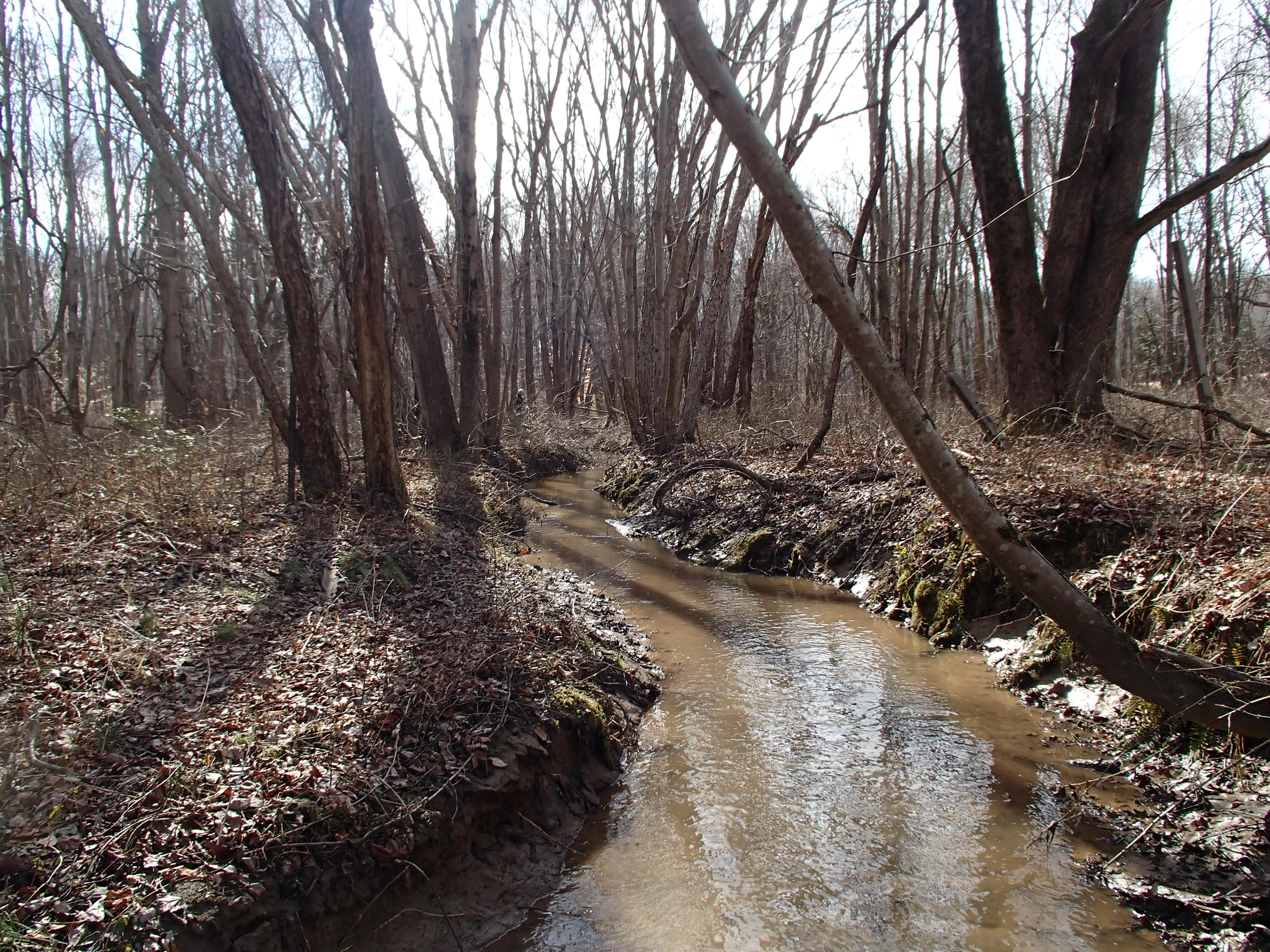 Field photo showing stream conditions at site WEST-104-X-2015_P-facing-downstream