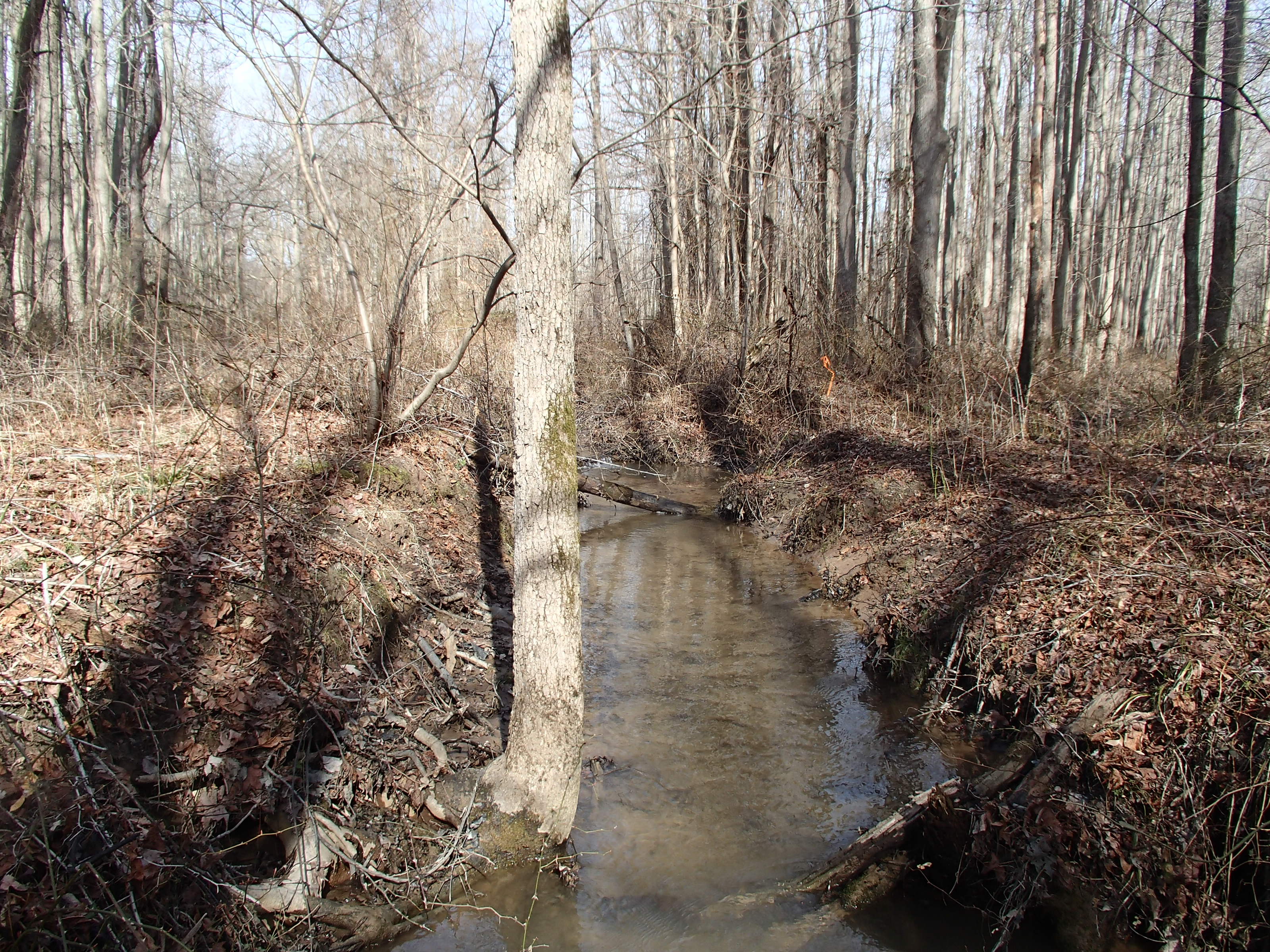 Field photo showing stream conditions at site WEST-104-X-2015_P-facing-upstream