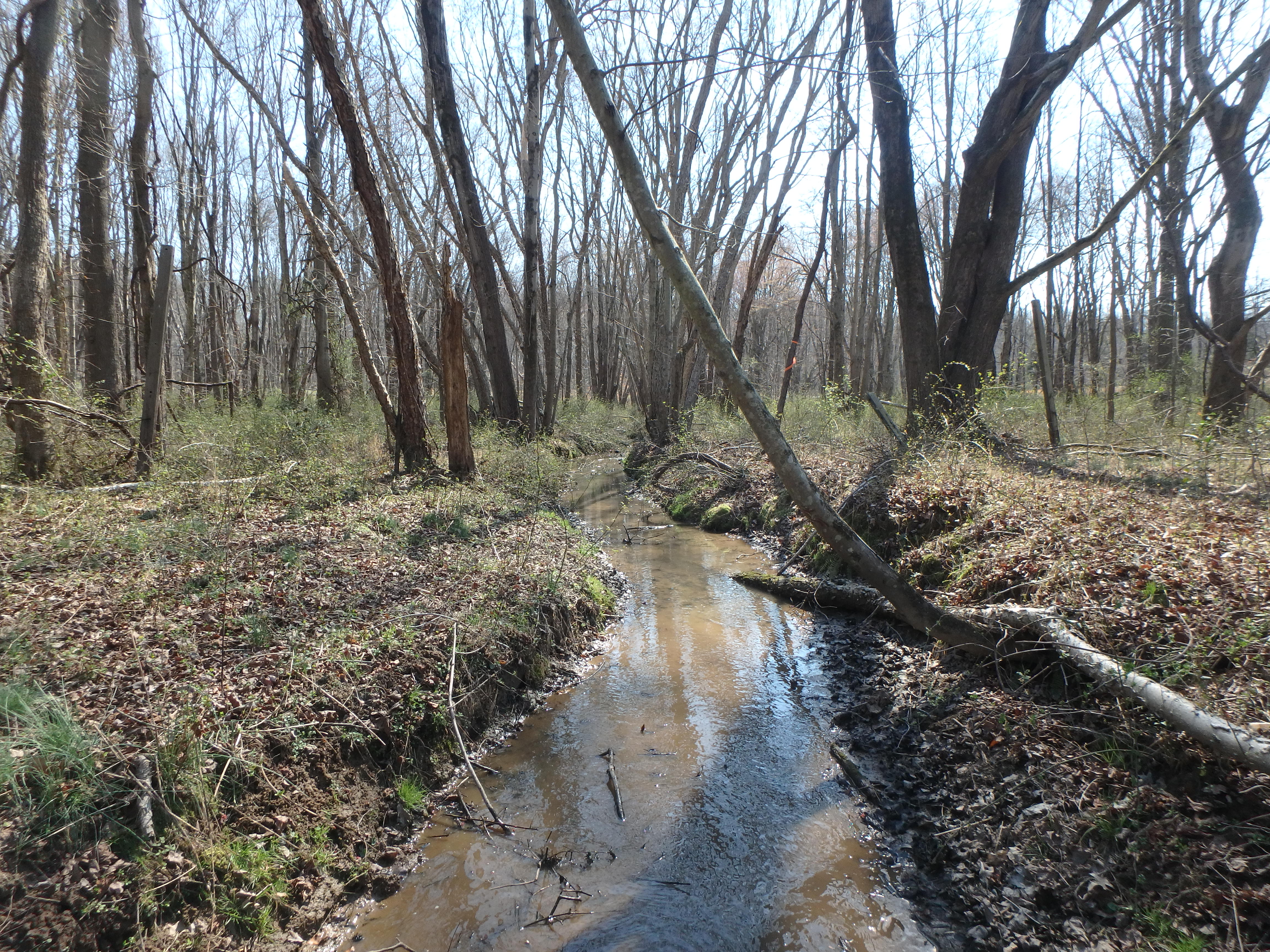 Field photo showing stream conditions at site WEST-104-X-2017-MidpointLookingDownstream