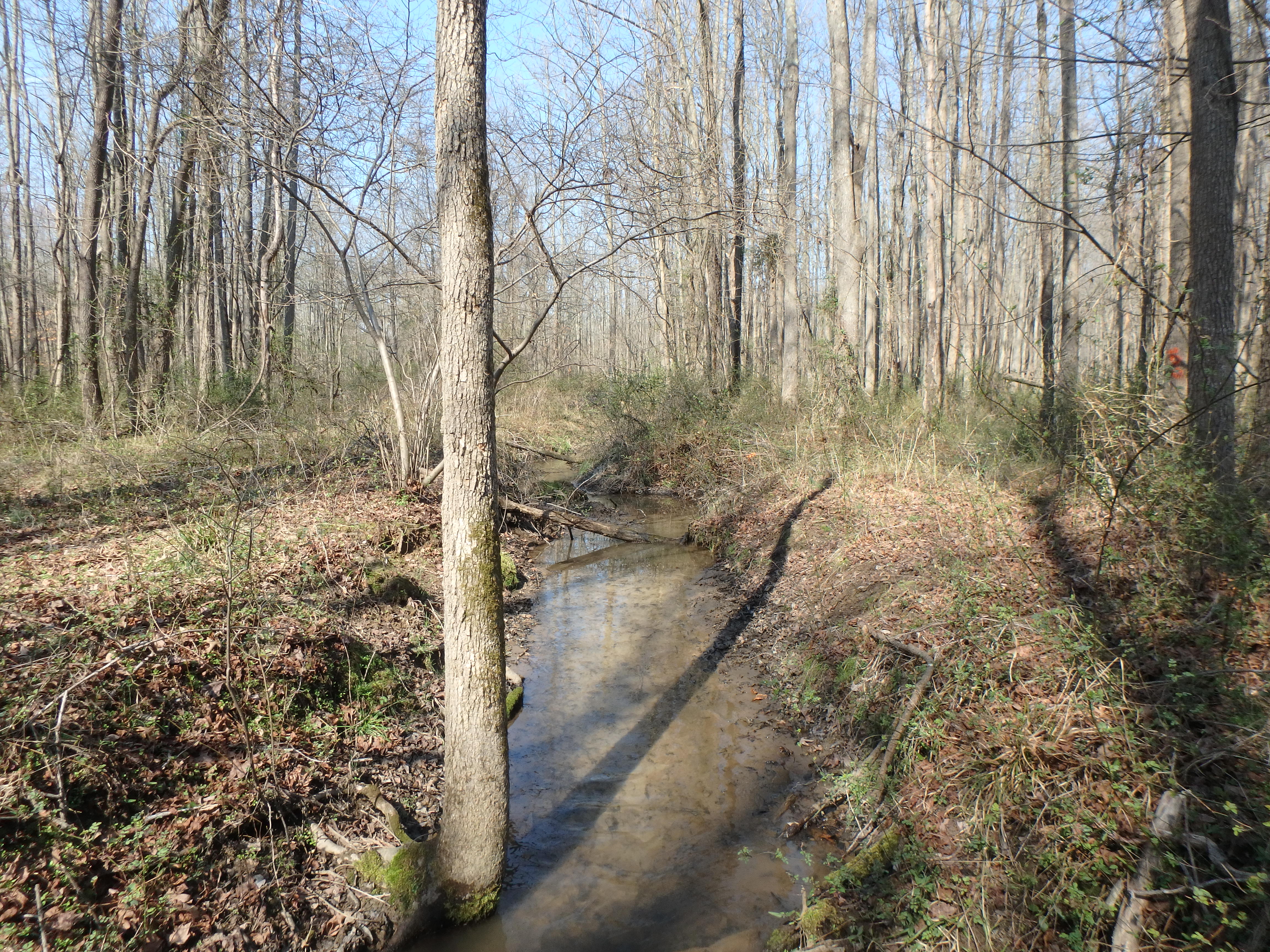 Field photo showing stream conditions at site WEST-104-X-2017-MidpointLookingUpstream