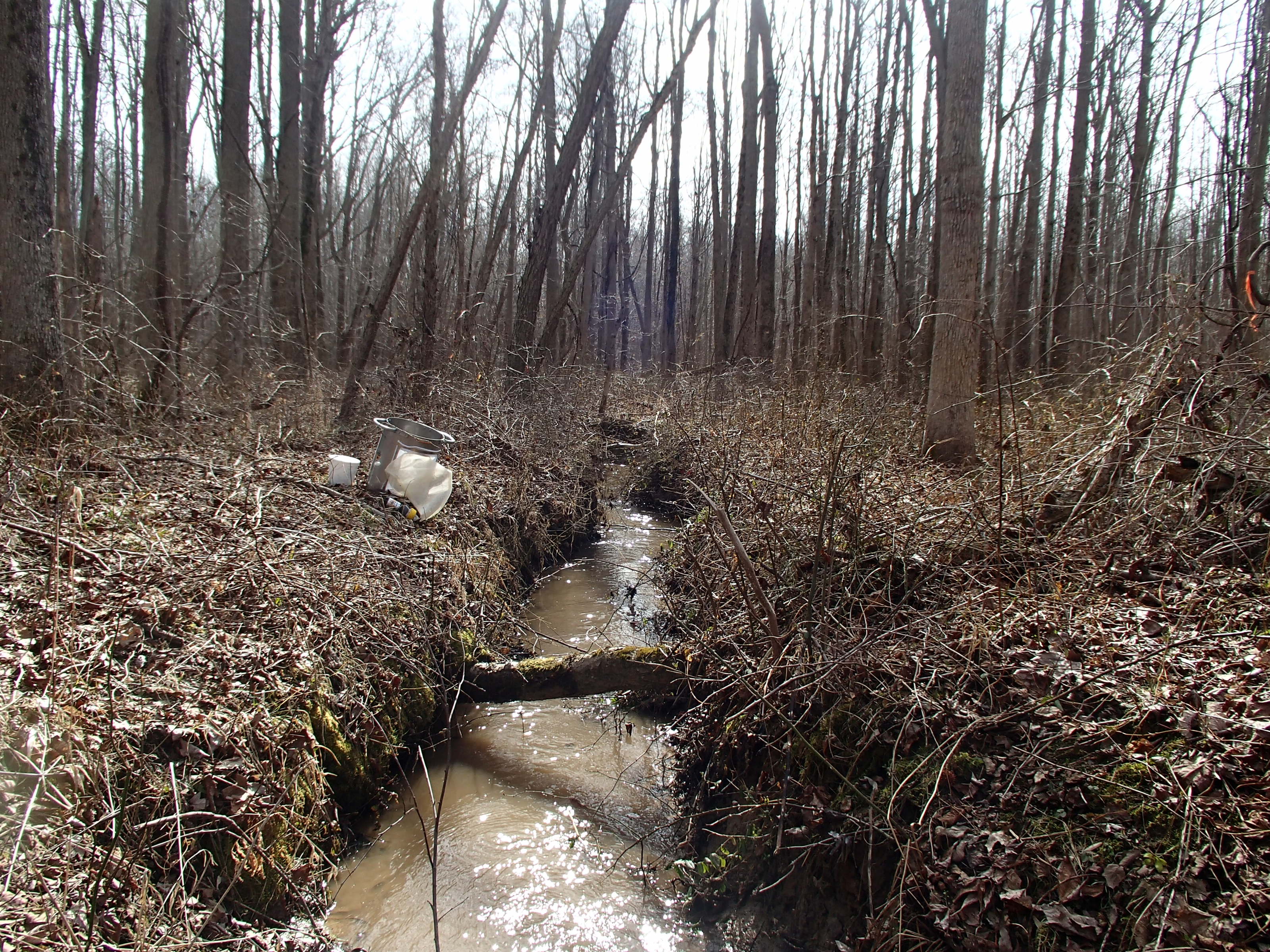 Field photo showing stream conditions at site WEST-105-X-2015_Midpoint-looking-downstream