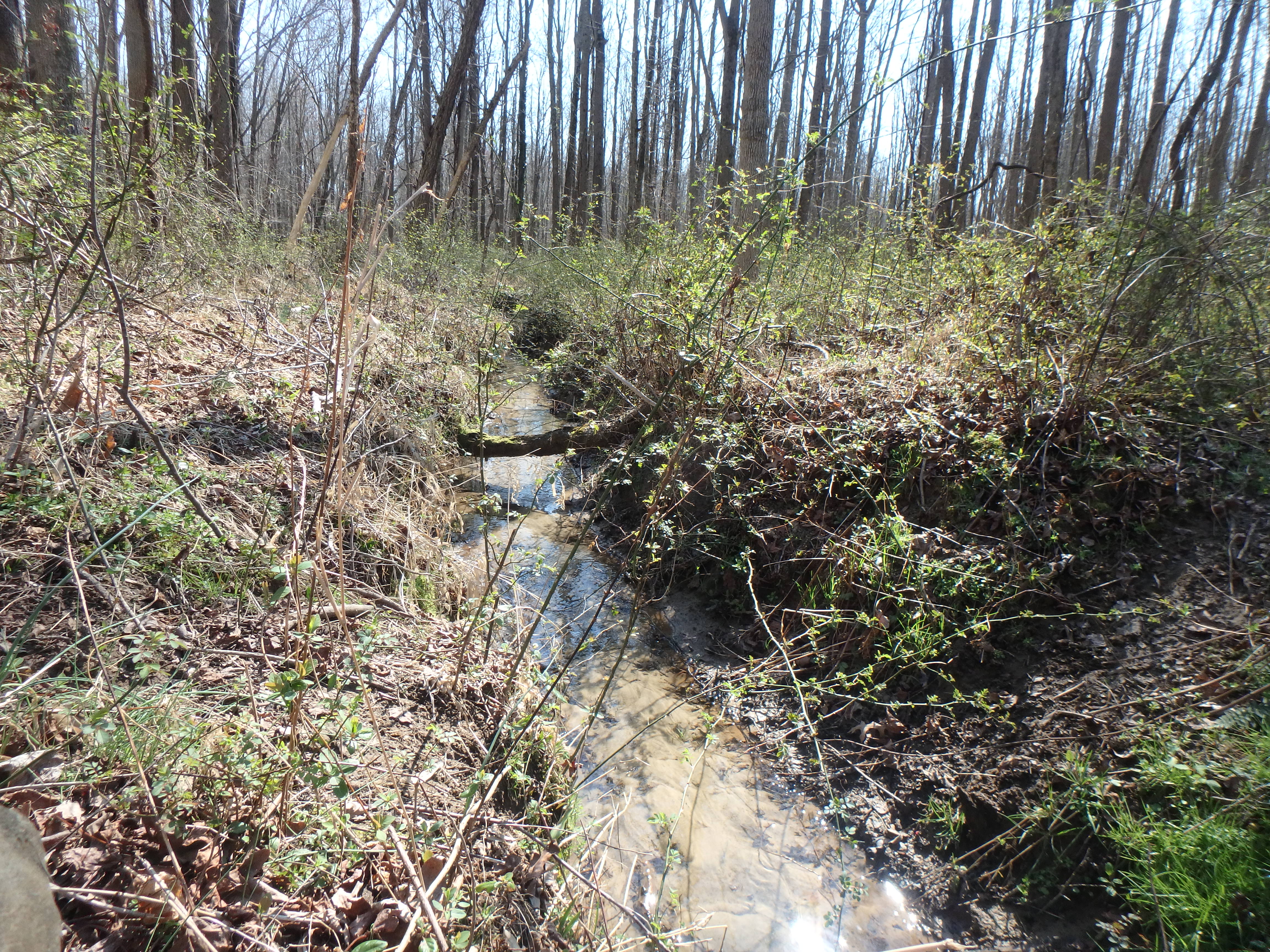 Field photo showing stream conditions at site WEST-105-X-2017-MidpointLookingDownstream
