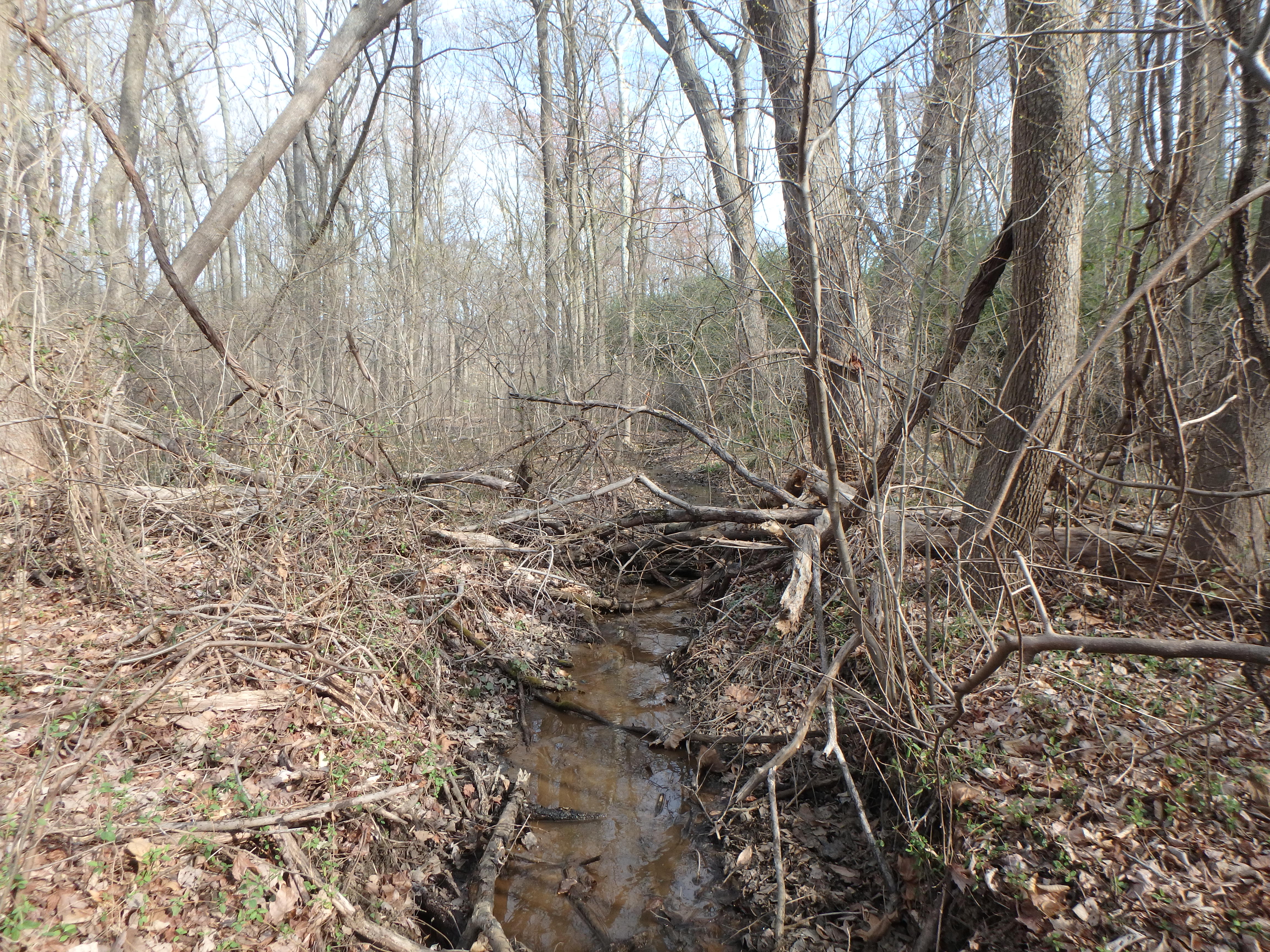 Field photo showing stream conditions at site WEST-106-X-2017-MidpointLookingDownstream