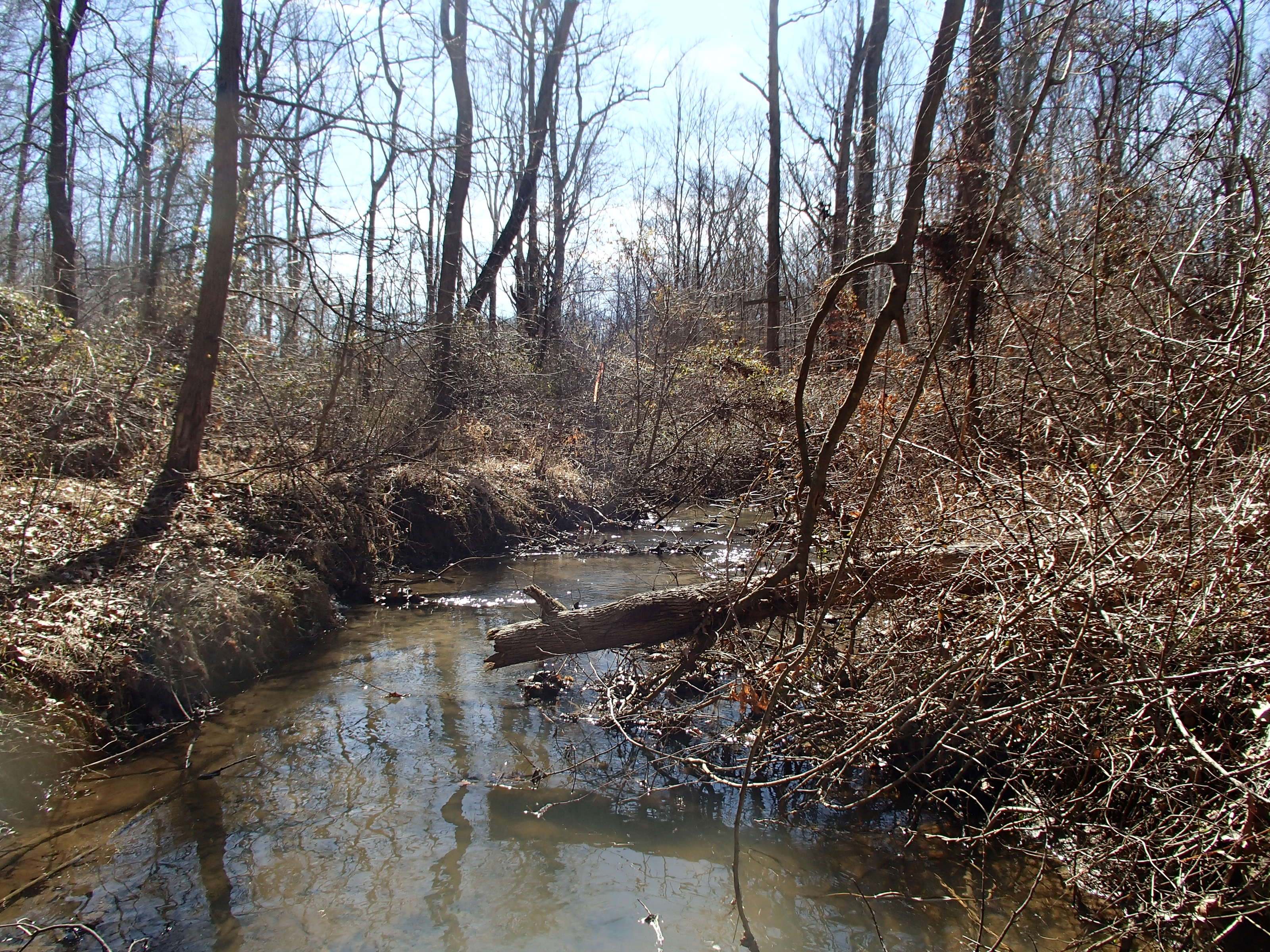 Field photo showing stream conditions at site WEST-107-X-2015_P-looking-downstream
