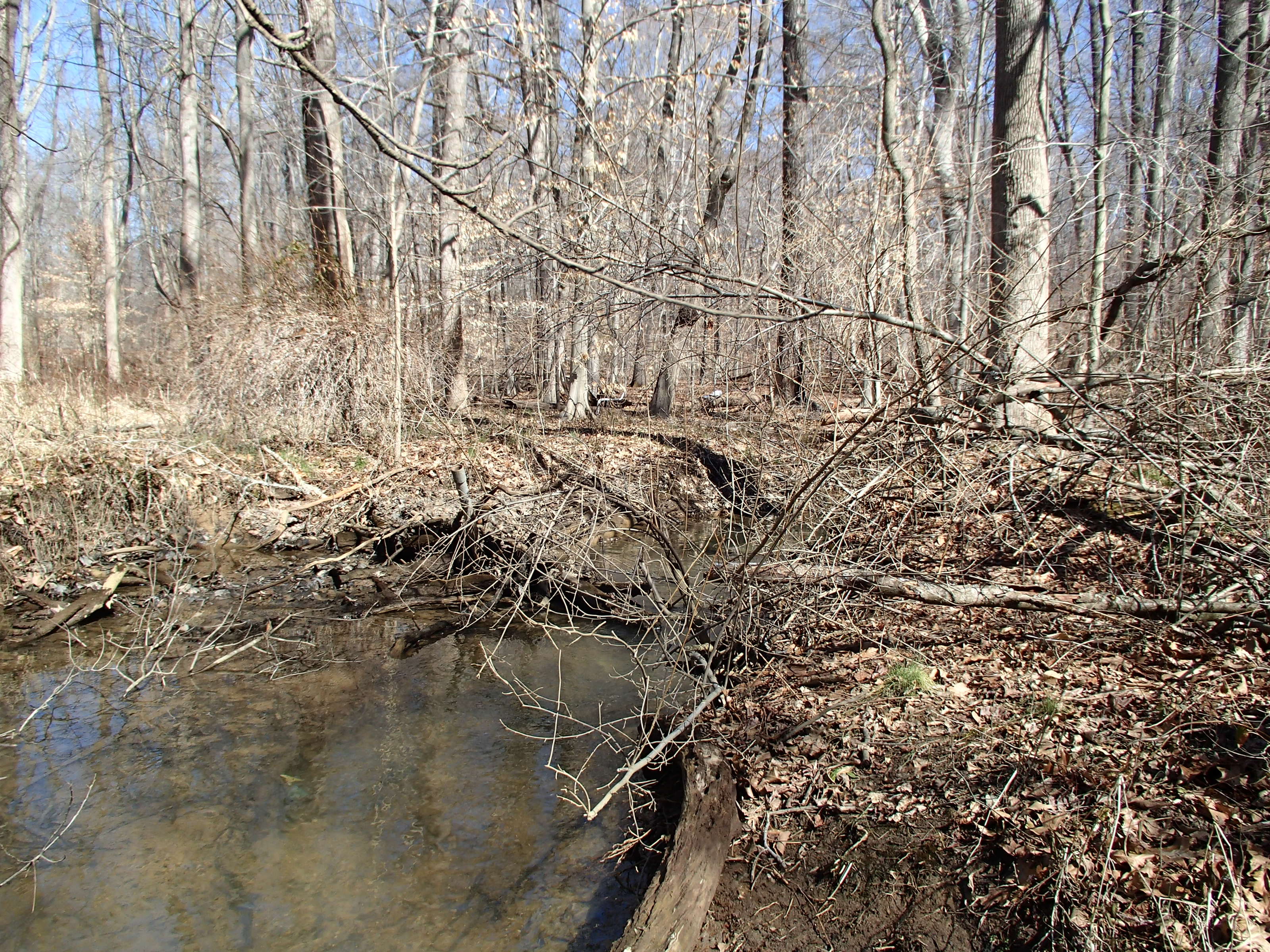 Field photo showing stream conditions at site WEST-107-X-2015_P-looking-upstream