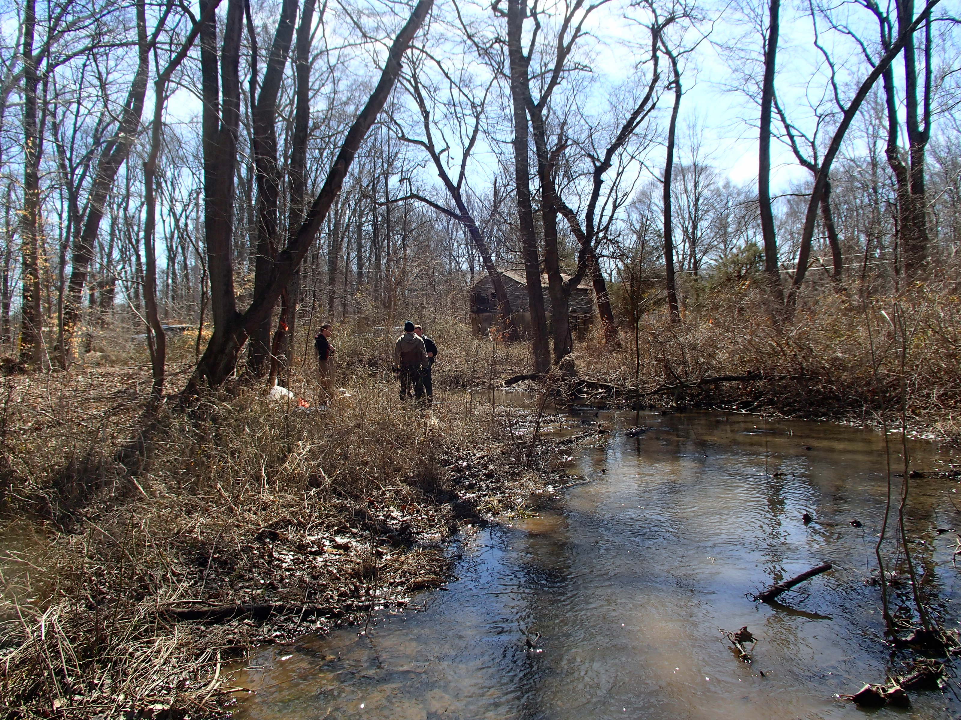 Field photo showing stream conditions at site WEST-108-X-2015_P-looking-downstream