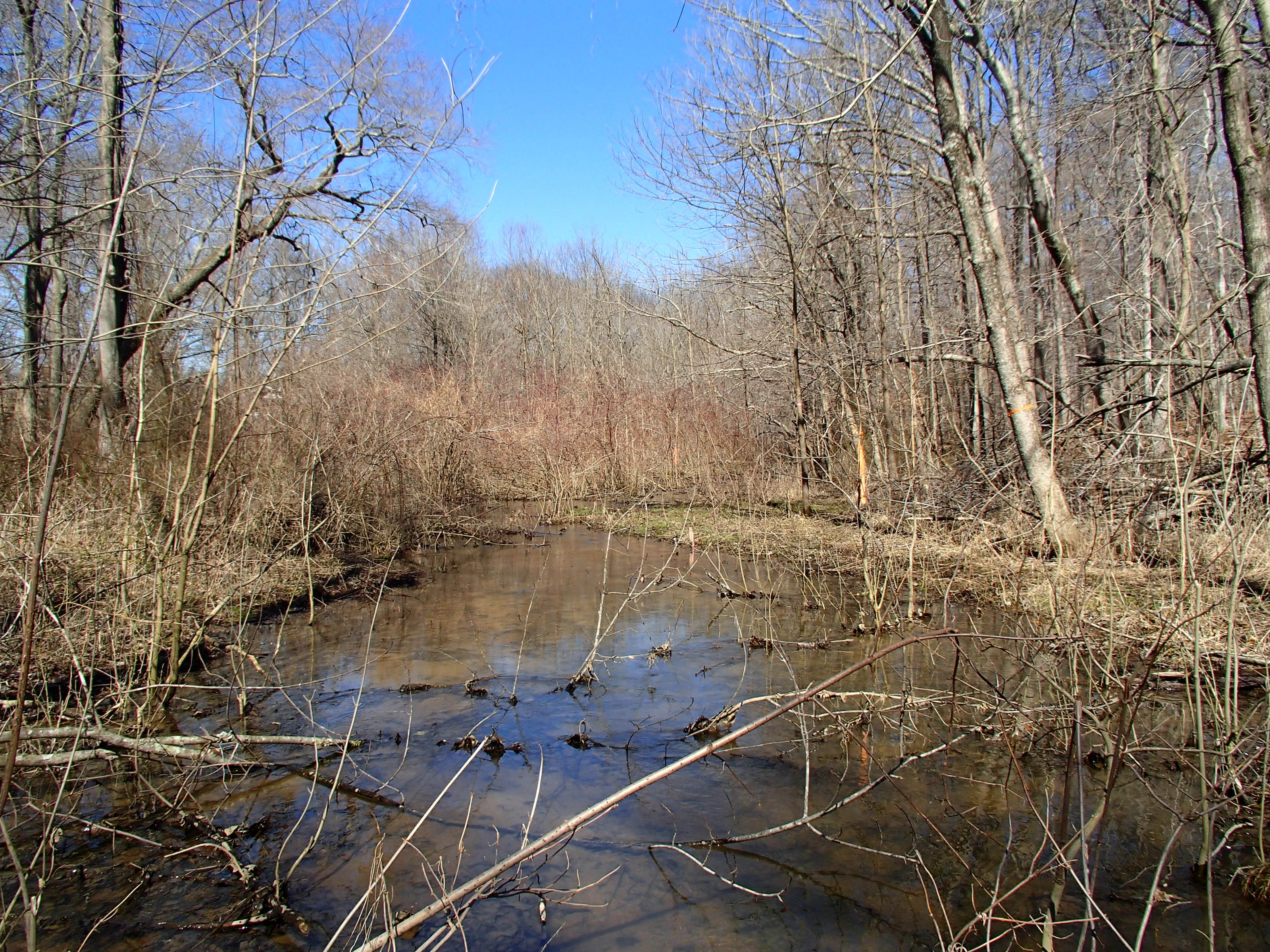 Field photo showing stream conditions at site WEST-108-X-2015_P-looking-upstream