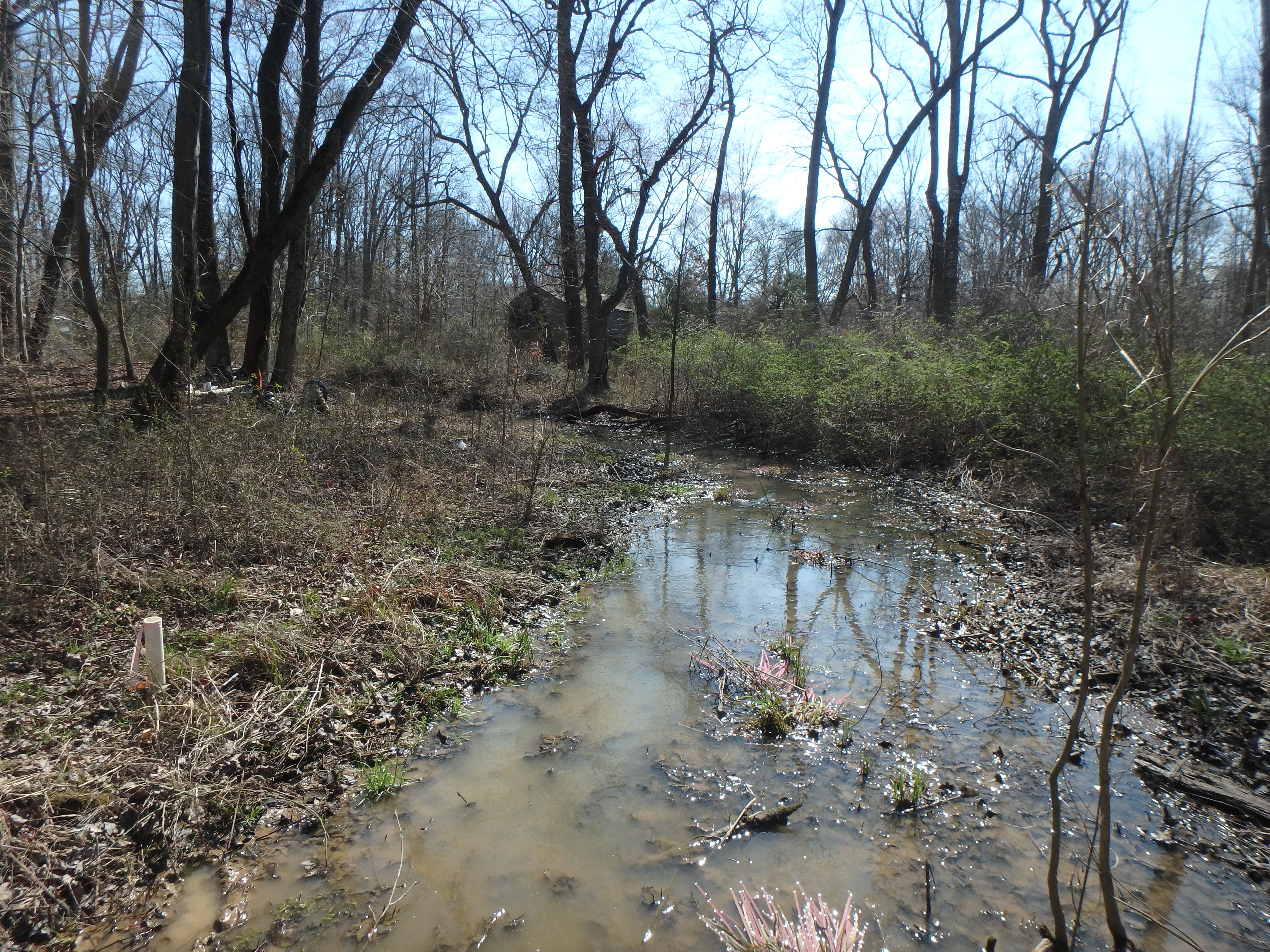 Field photo showing stream conditions at site WEST-108-X-2017-MidpointLookingDownstream