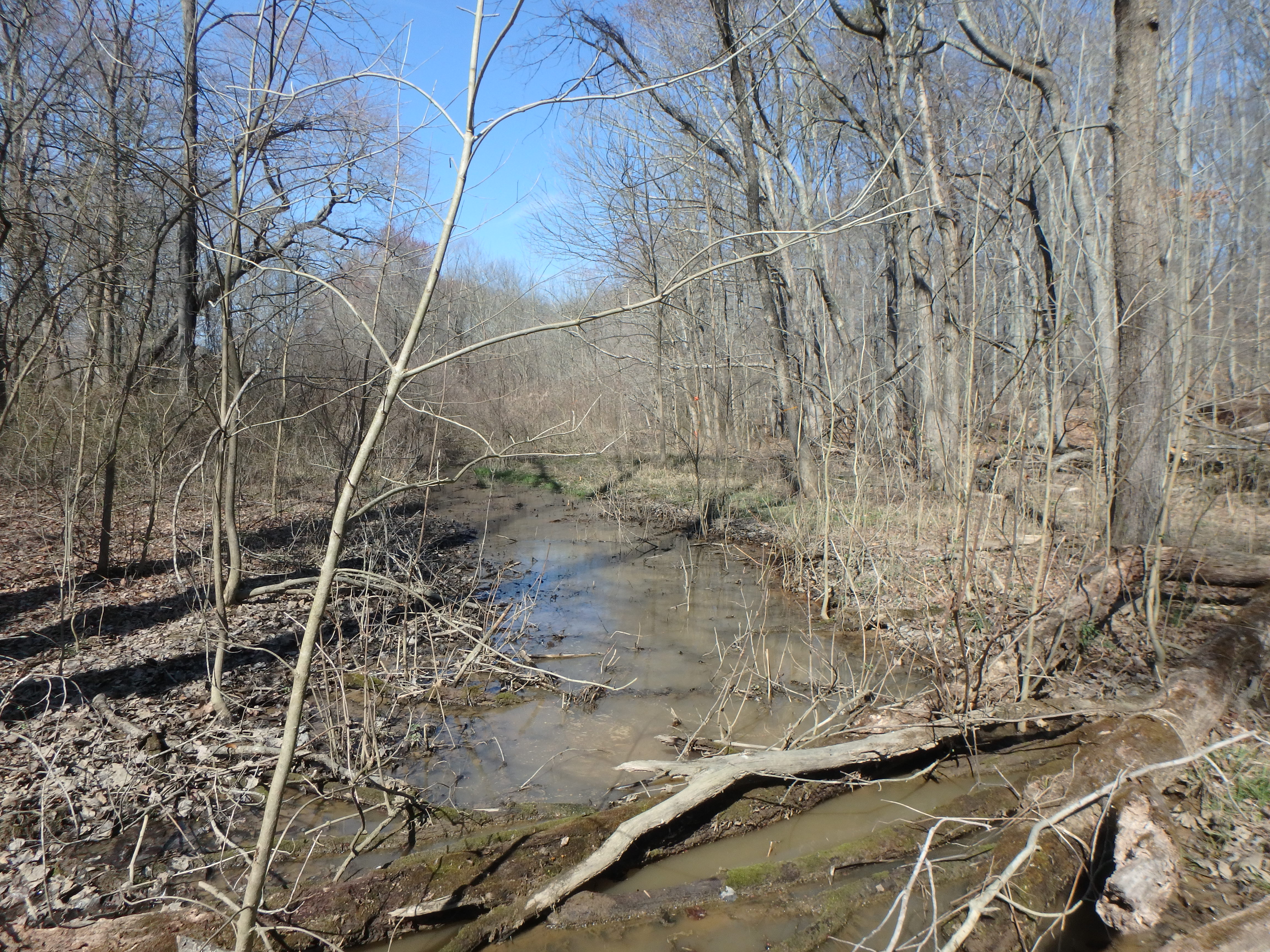 Field photo showing stream conditions at site WEST-108-X-2017-MidpointLookingUpstream