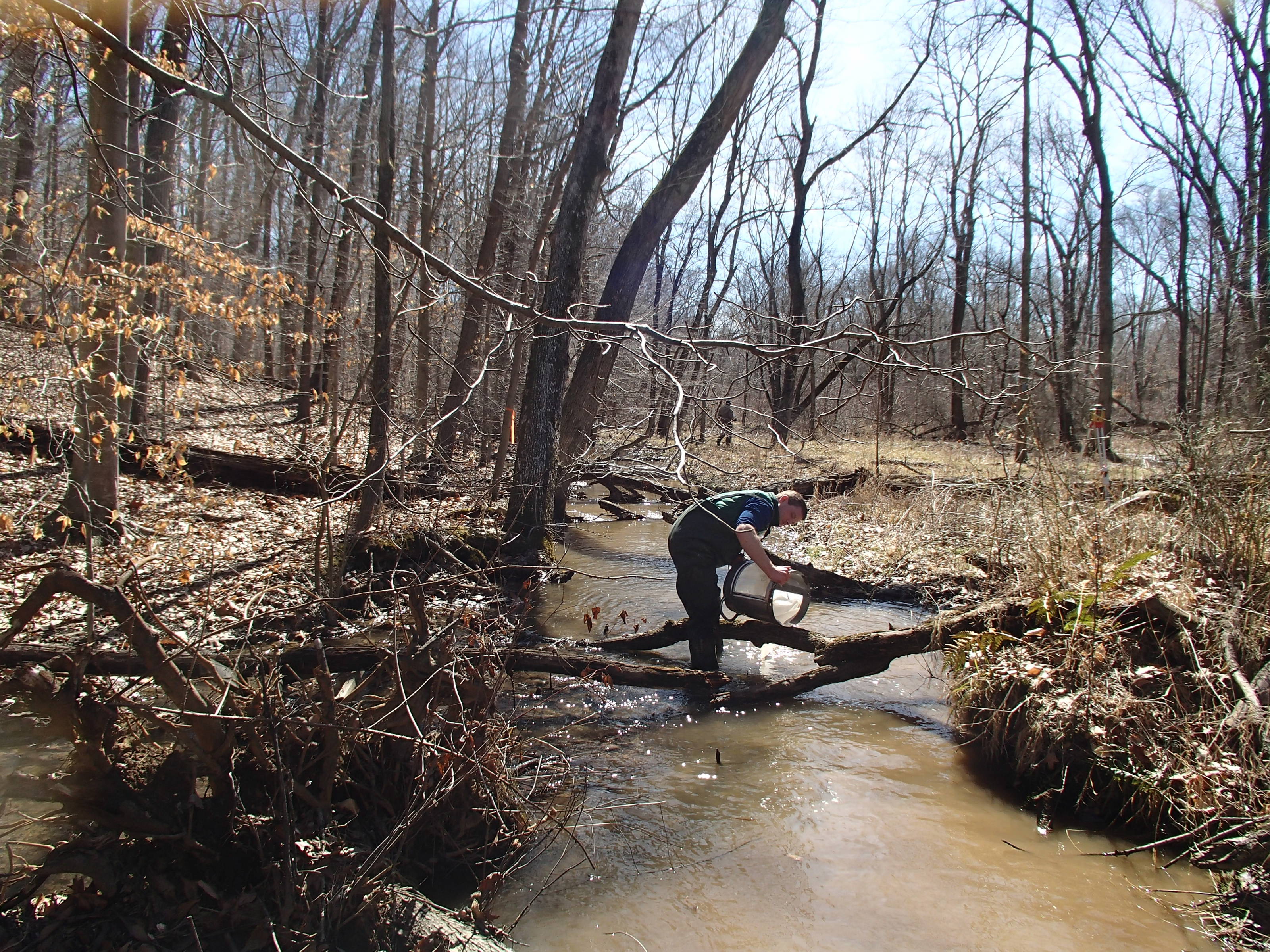 Field photo showing stream conditions at site WEST-109-X-2015_P-looking-downstream