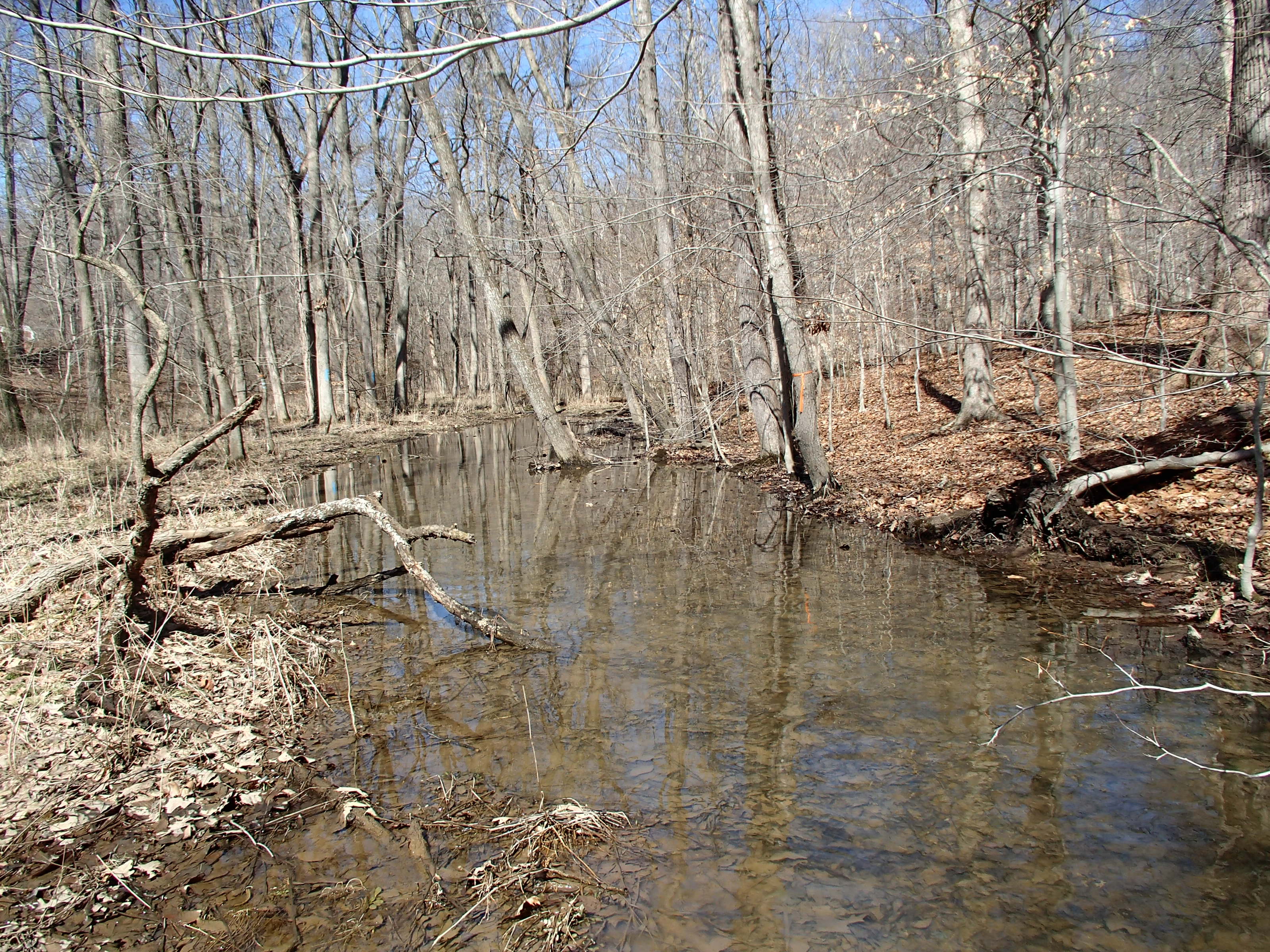 Field photo showing stream conditions at site WEST-109-X-2015_P-looking-upstream