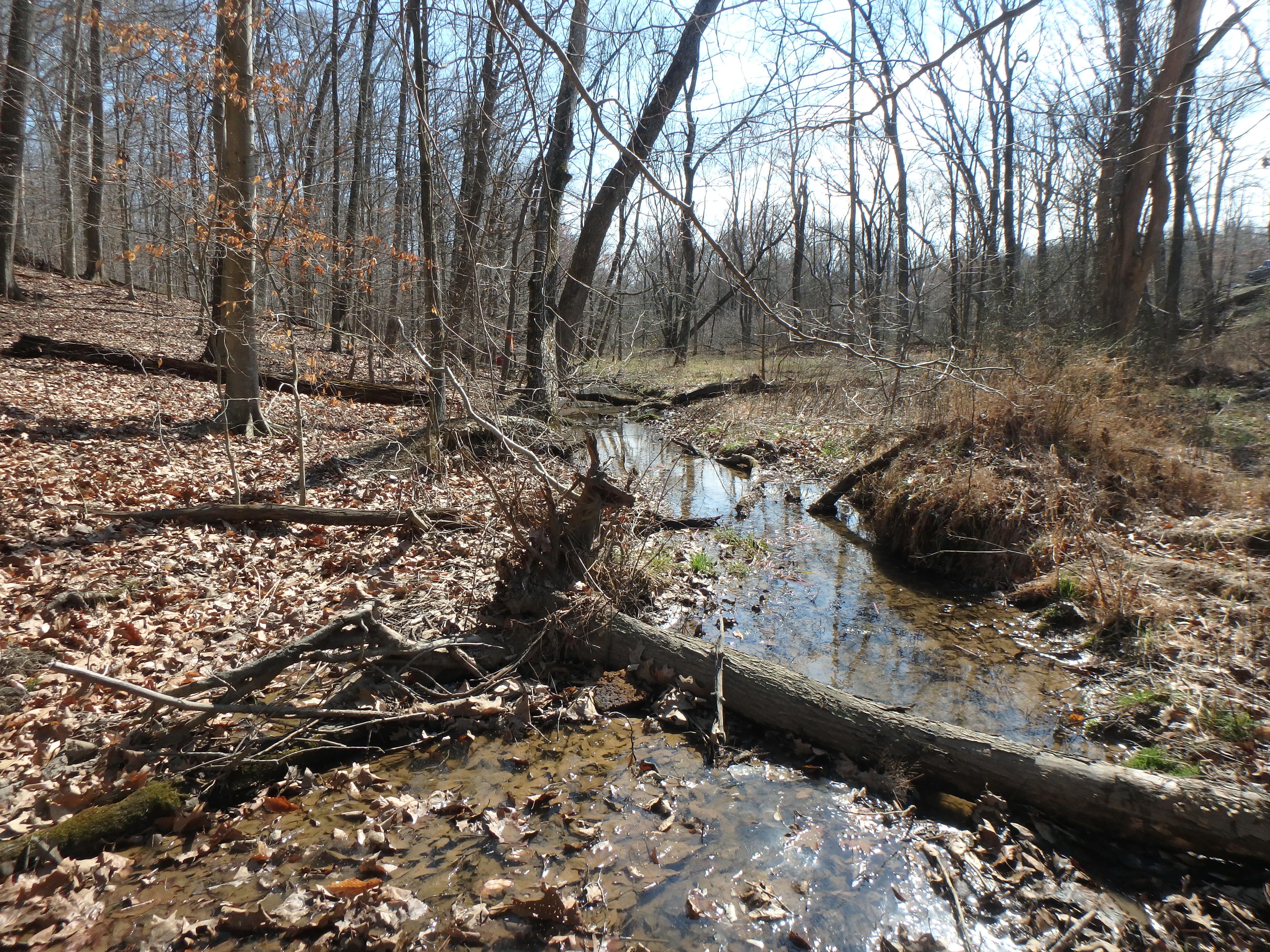 Field photo showing stream conditions at site WEST-109-X-2017-MidpointLookingDownstream