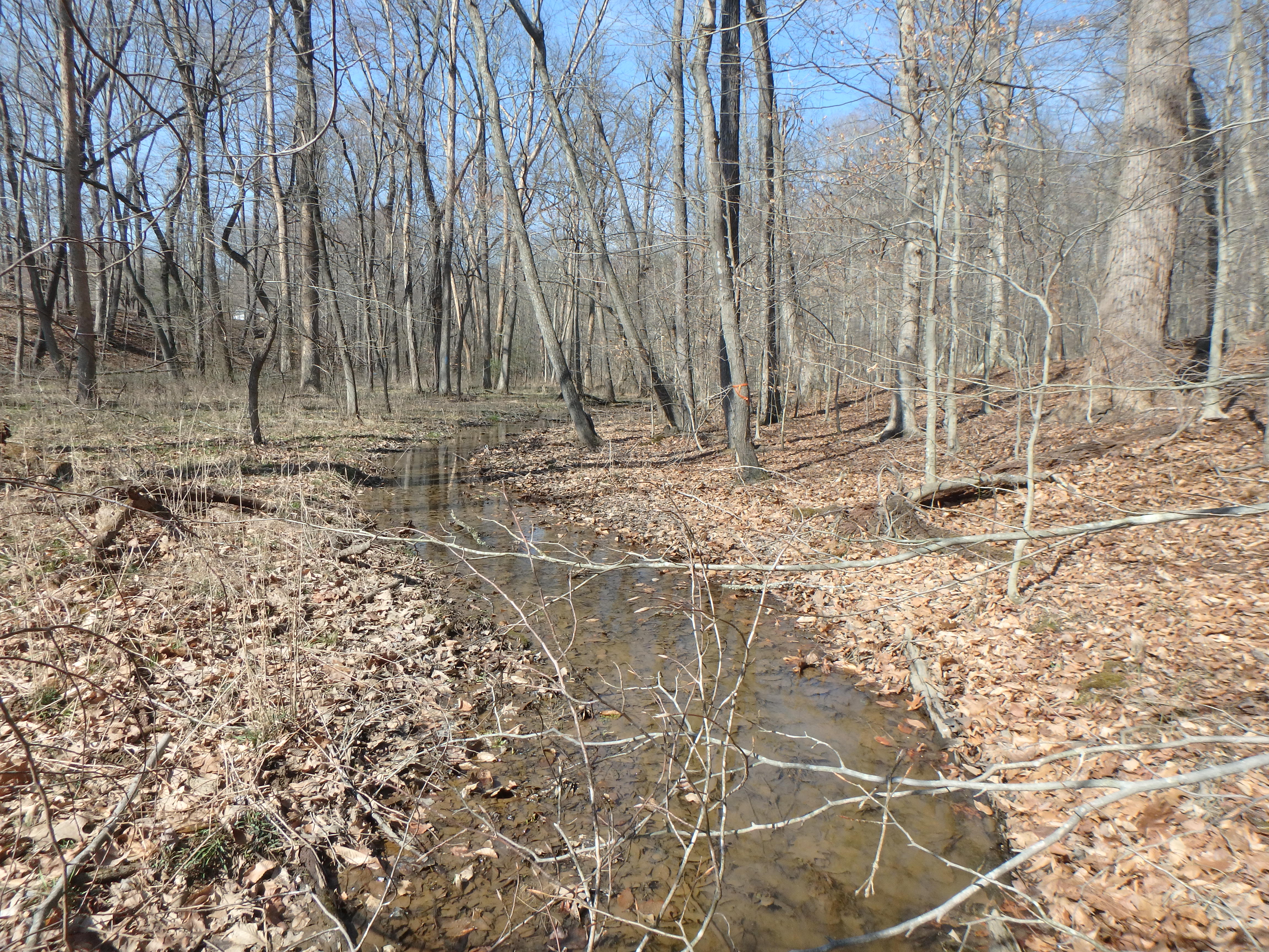 Field photo showing stream conditions at site WEST-109-X-2017-MidpointLookingUpstream