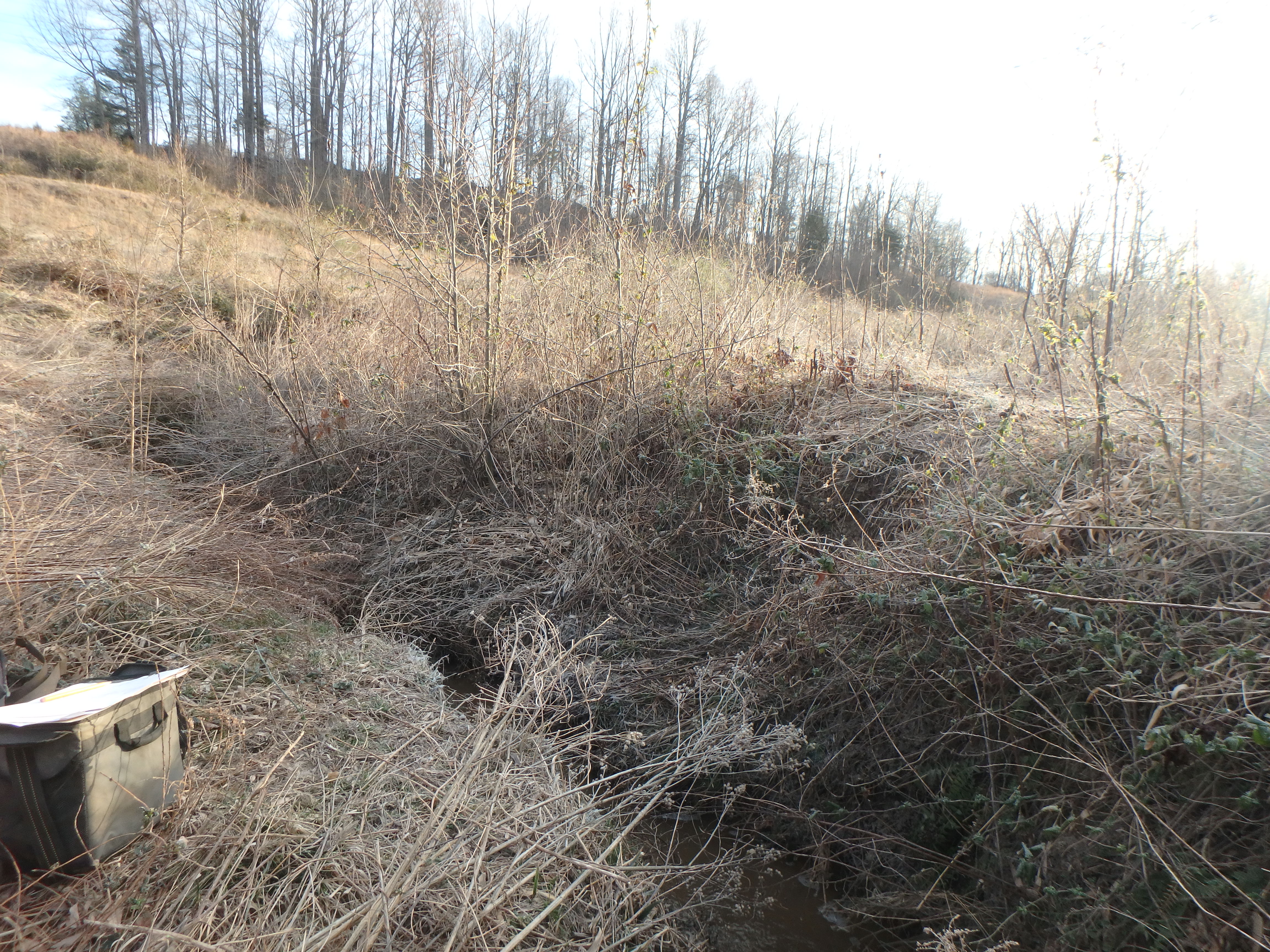 Field photo showing stream conditions at site WEST-110-R-2017-MidpointLookingDownstream