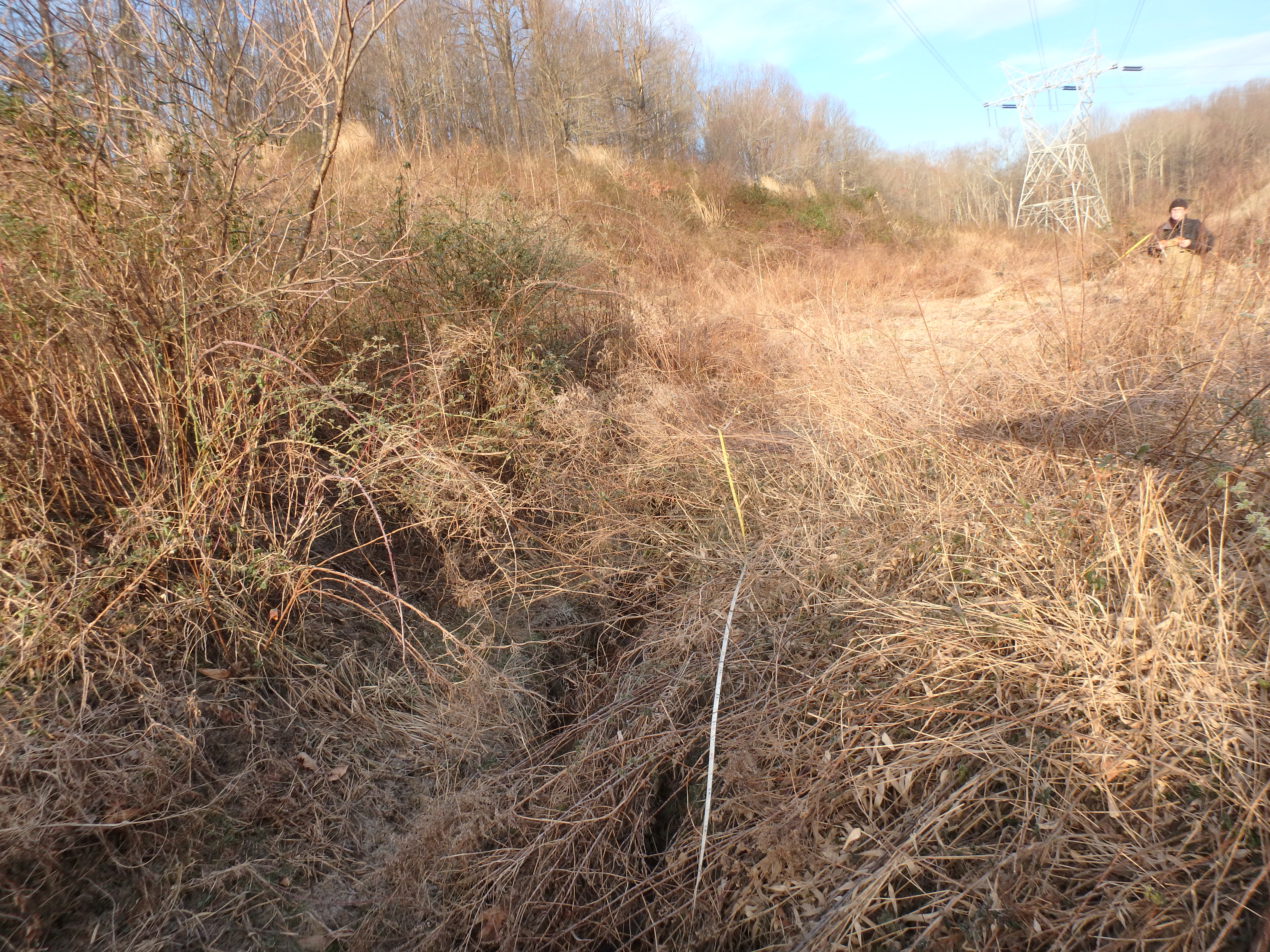 Field photo showing stream conditions at site WEST-110-R-2017-MidpointLookingUpstream
