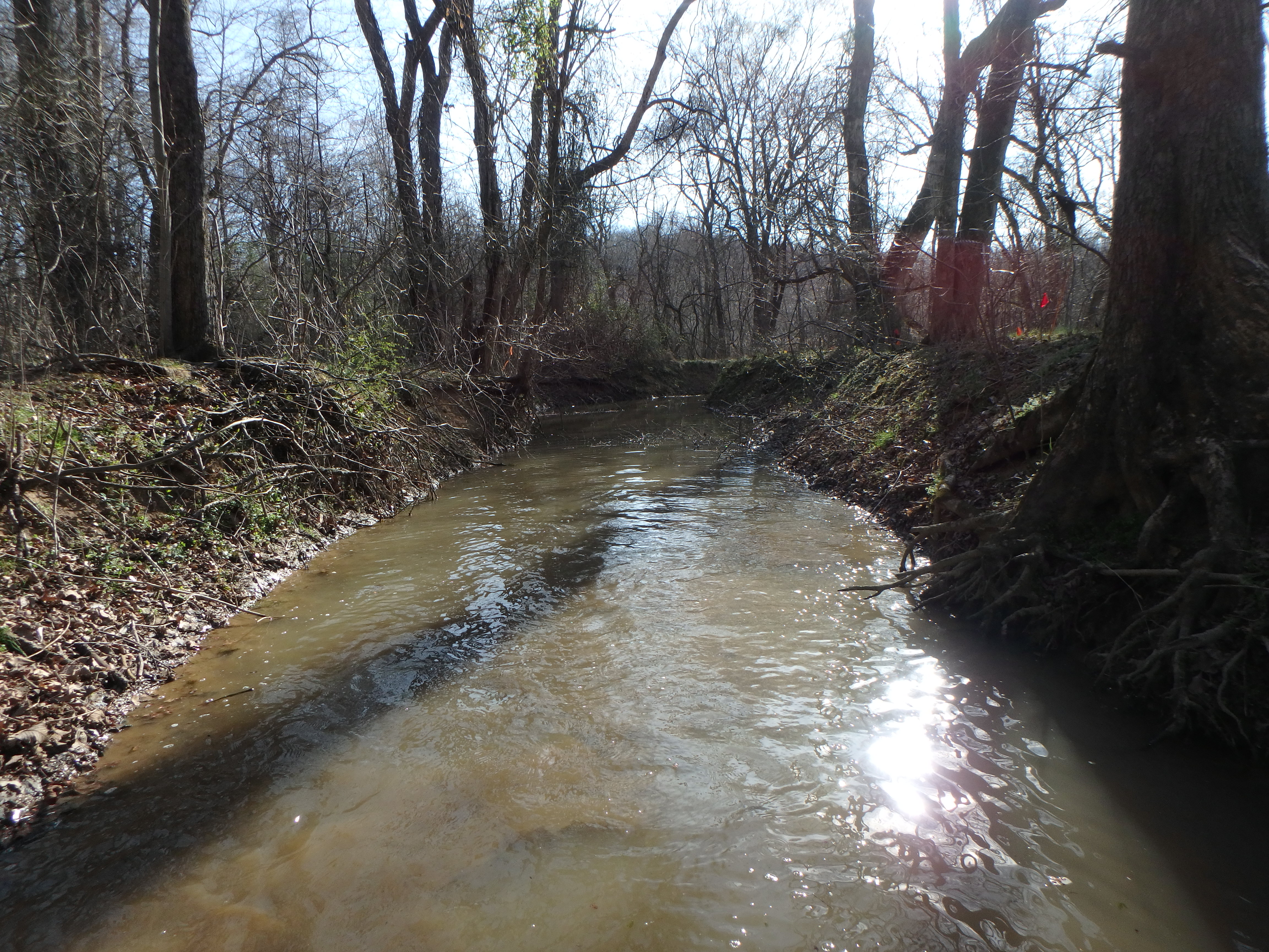 Field photo showing stream conditions at site WEST-110-X-2017-MidpointLookingDownstream