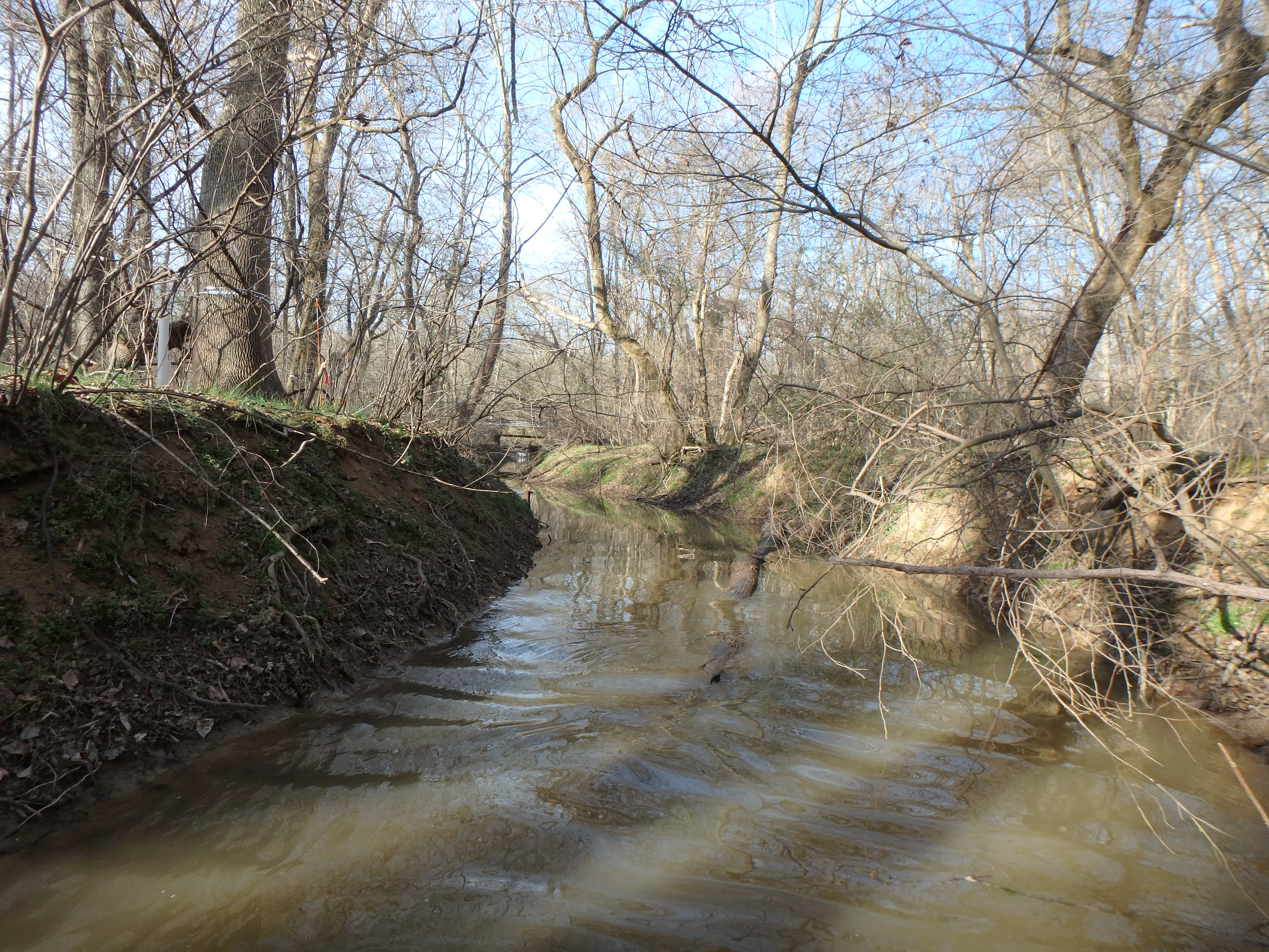 Field photo showing stream conditions at site WEST-110-X-2017-MidpointLookingUpstream