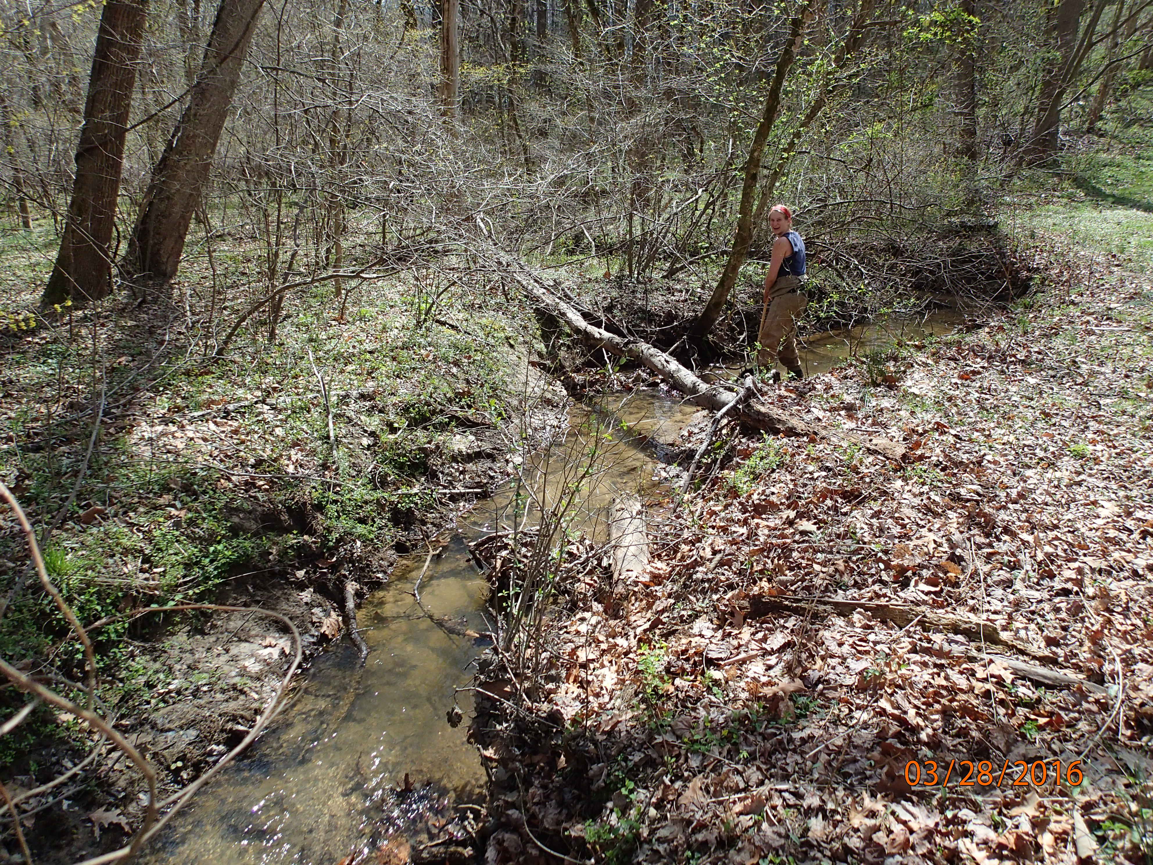 Field photo showing stream conditions at site WEST-114-R-2016-MidpointDownstream