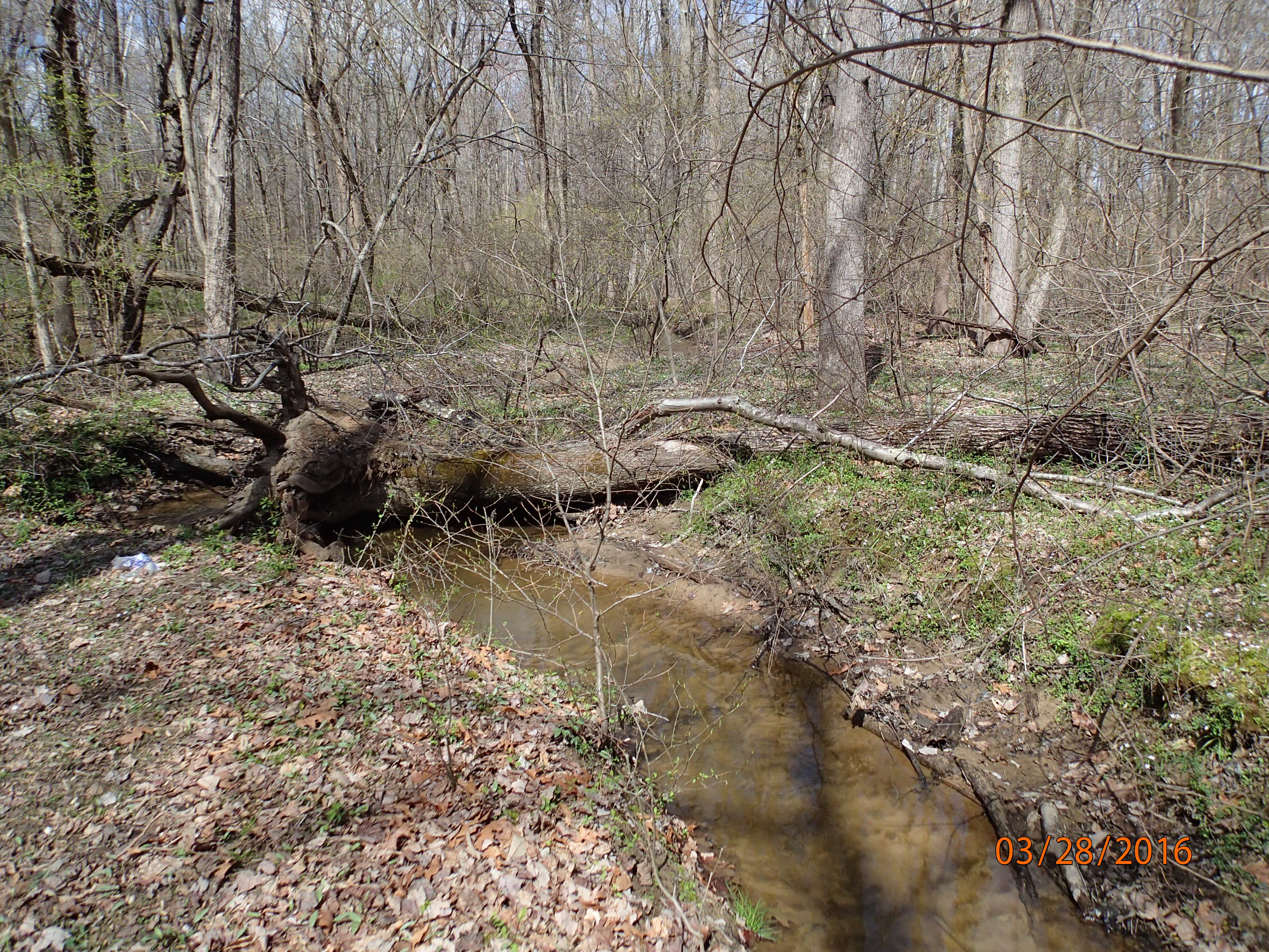 Field photo showing stream conditions at site WEST-114-R-2016-MidpointUpstream