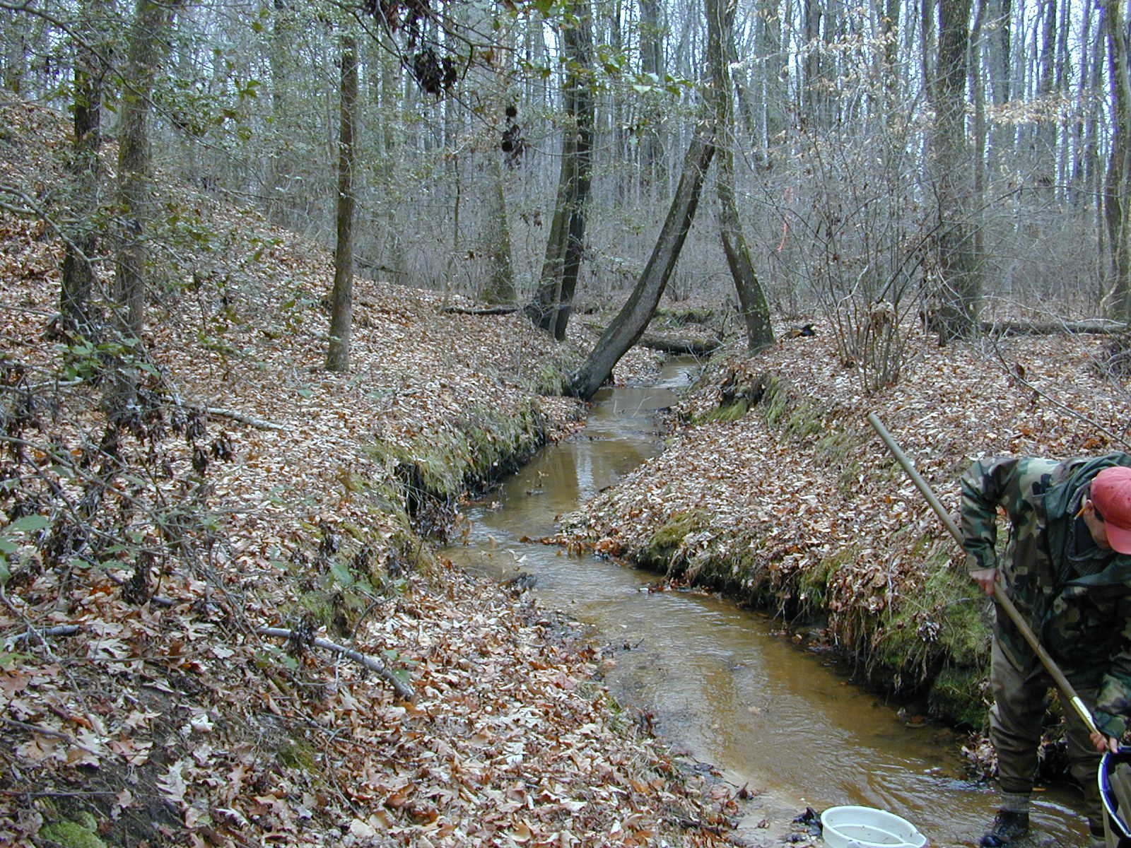 Field photo showing stream conditions at site WICO-101-R-2004-2