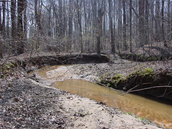 Field photo showing stream conditions at site WICO-101-R-2007-1