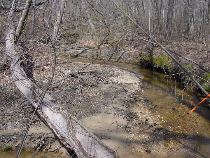 Field photo showing stream conditions at site WICO-101-R-2007-2