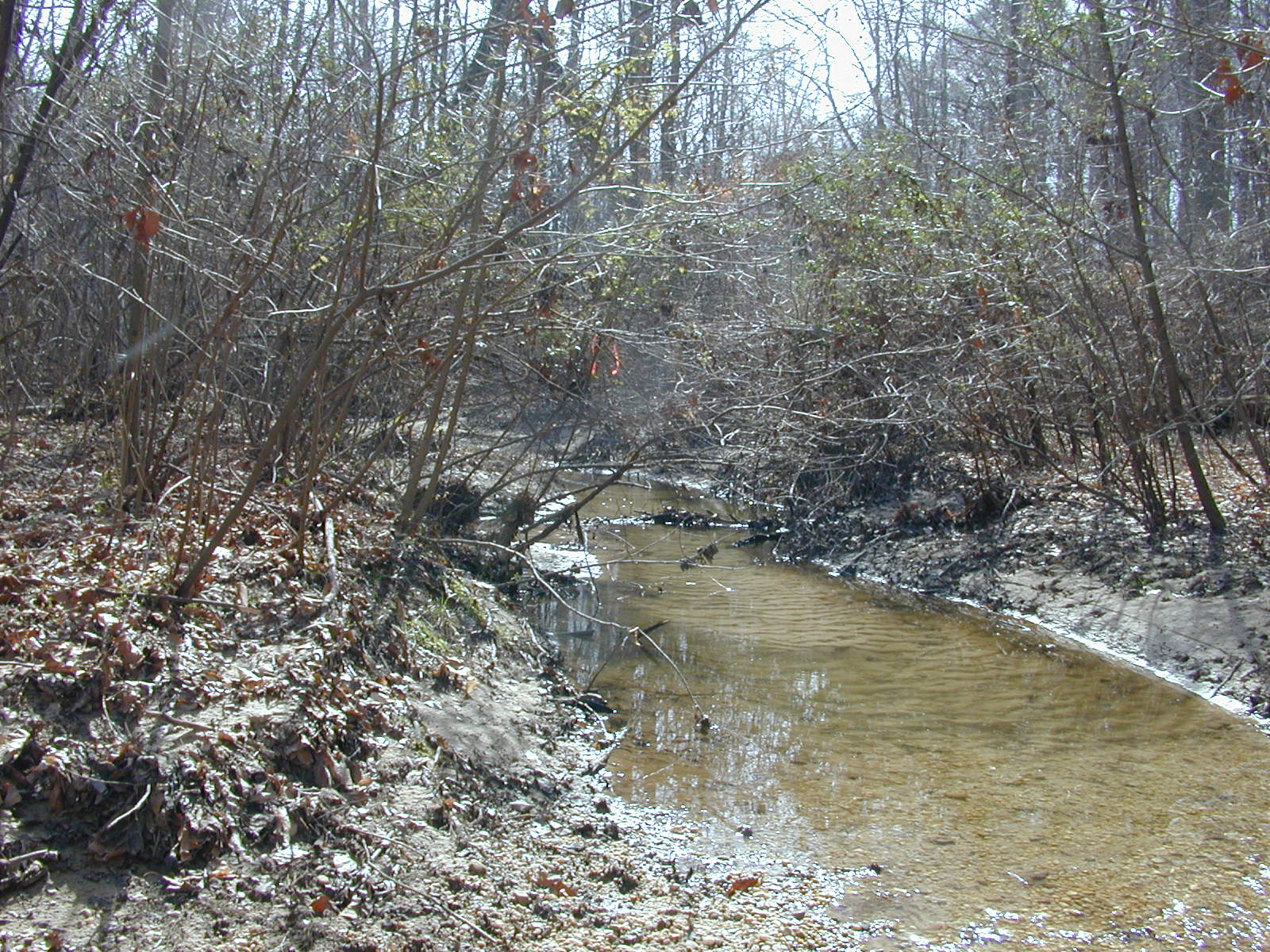 Field photo showing stream conditions at site WICO-103-R-2004-1