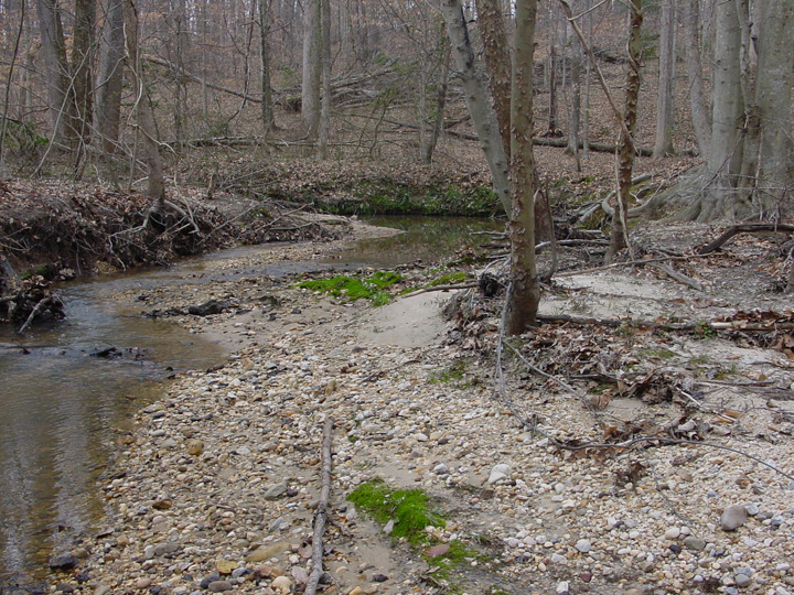 Field photo showing stream conditions at site WICO-103-R-2007-1