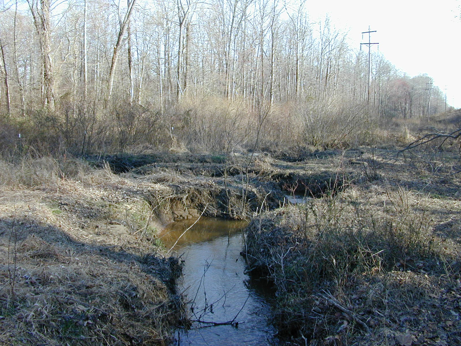 Field photo showing stream conditions at site WICO-104-R-2004-1