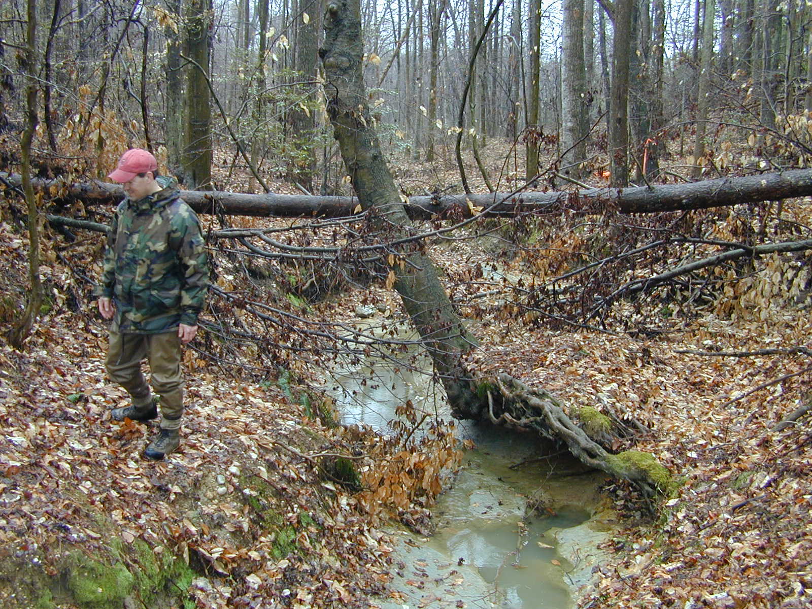 Field photo showing stream conditions at site WICO-105-R-2004-2