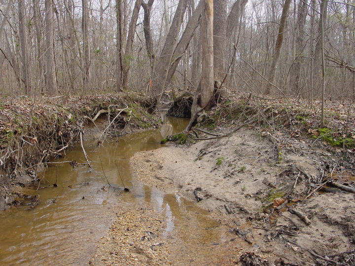Field photo showing stream conditions at site WICO-106-R-2007-1