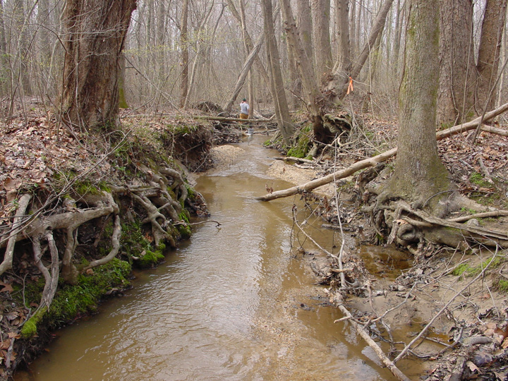 Field photo showing stream conditions at site WICO-106-R-2007-2