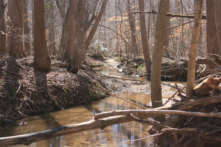 Field photo showing stream conditions at site WICO-109-A-2011-2