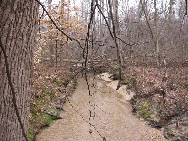 Field photo showing stream conditions at site WICO-109-A-2012-1