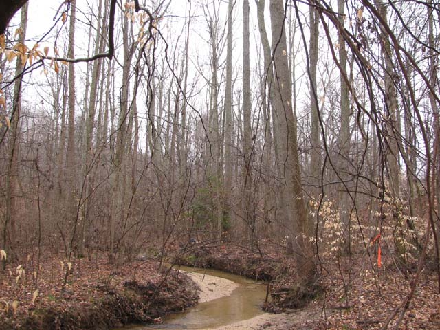 Field photo showing stream conditions at site WICO-109-A-2012-2