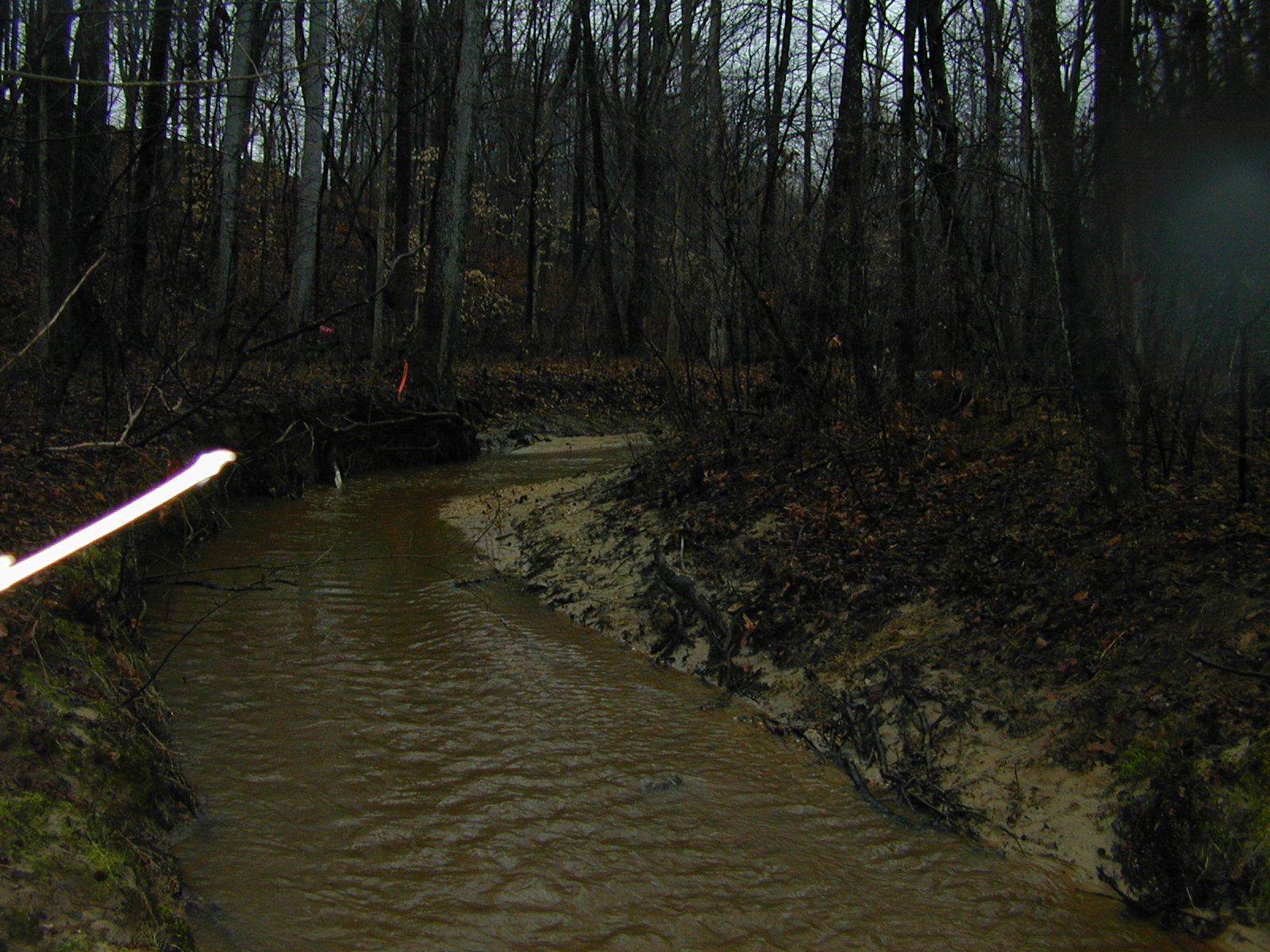 Field photo showing stream conditions at site WICO-109-R-2004-1